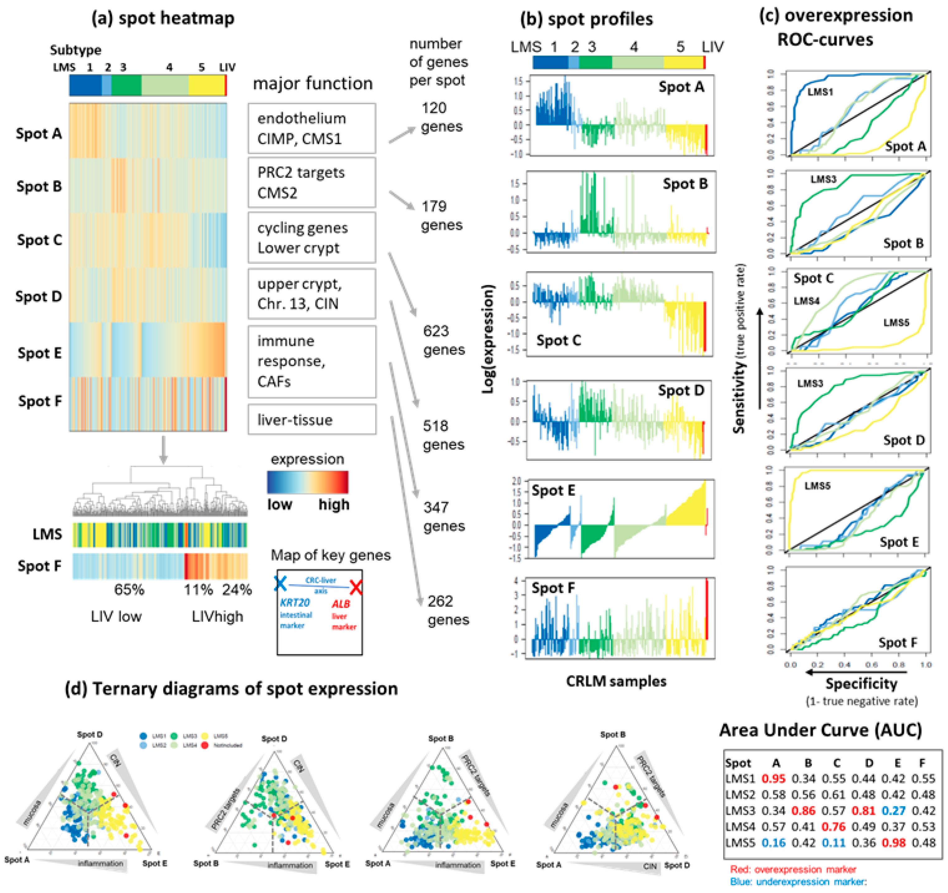 Cancers 15 03835 g002