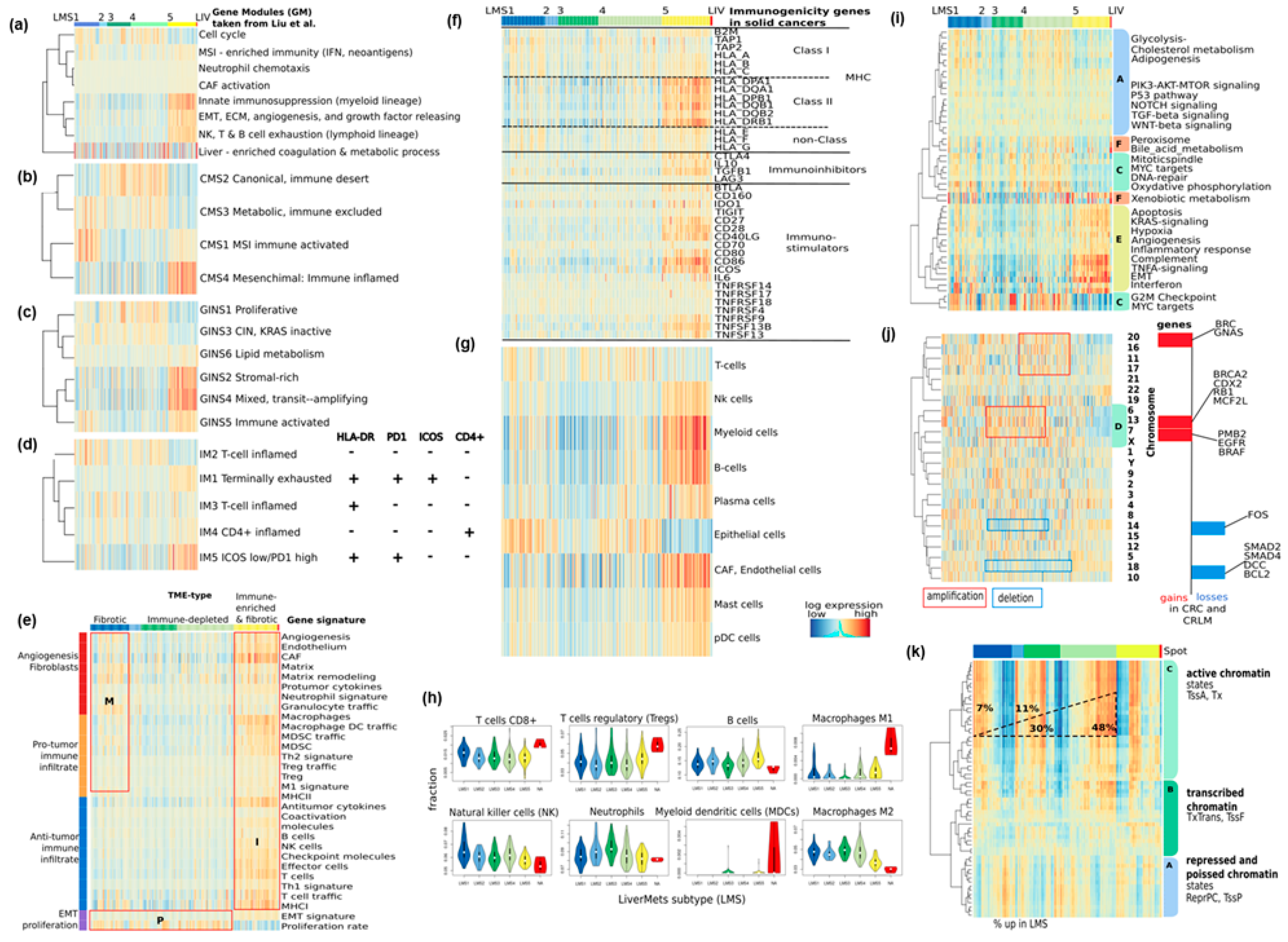 Cancers 15 03835 g003
