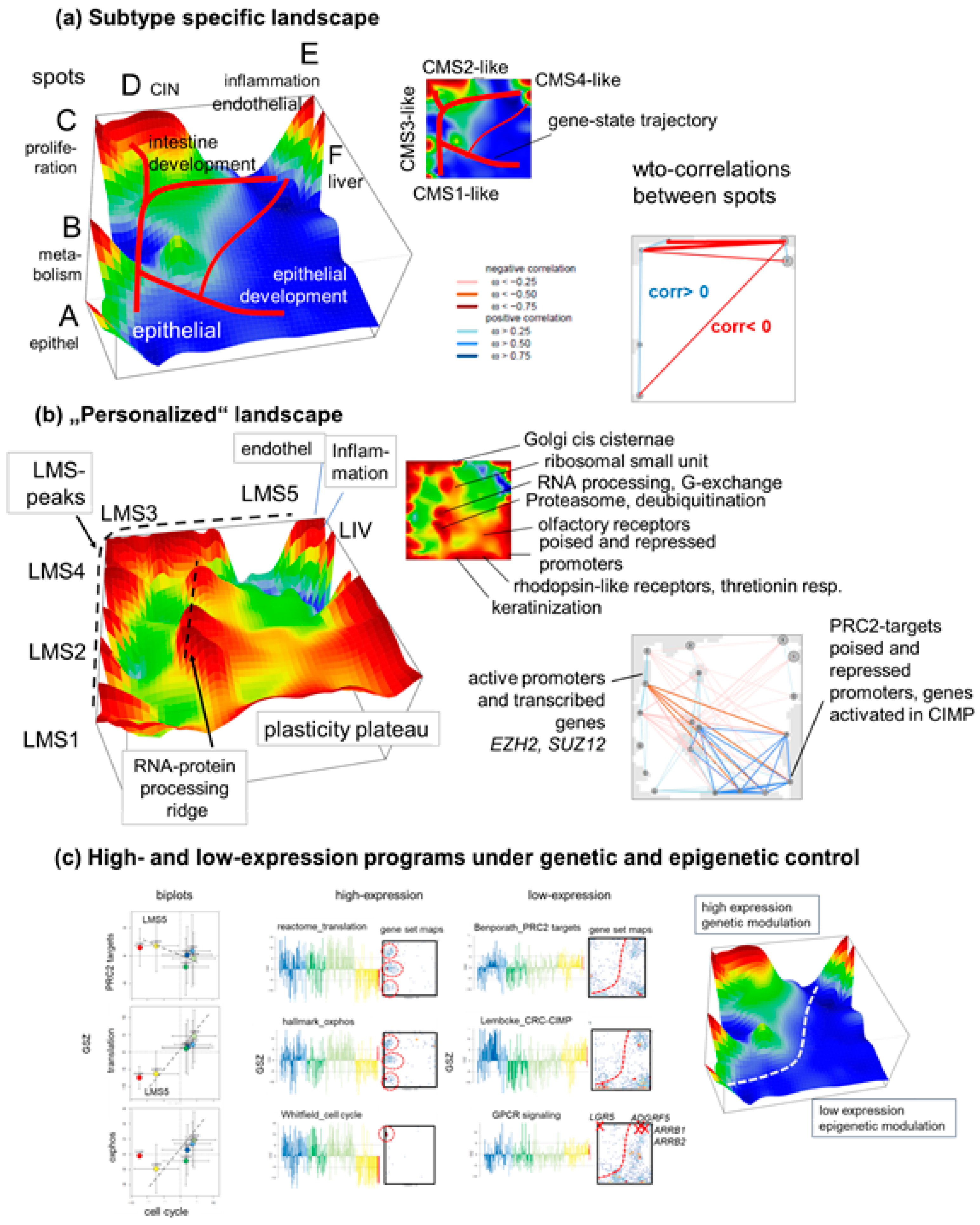 Cancers 15 03835 g005
