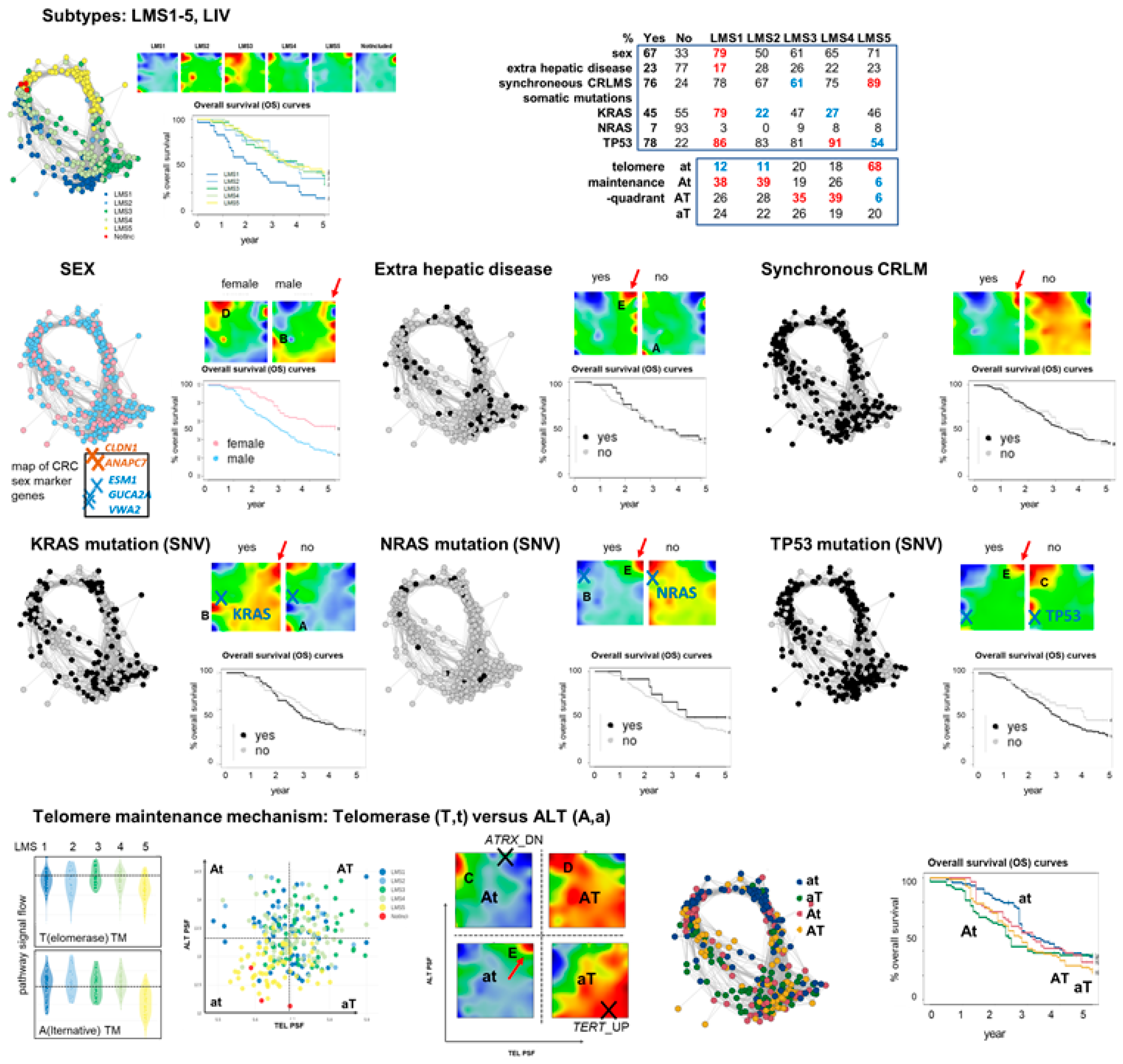 Cancers 15 03835 g006