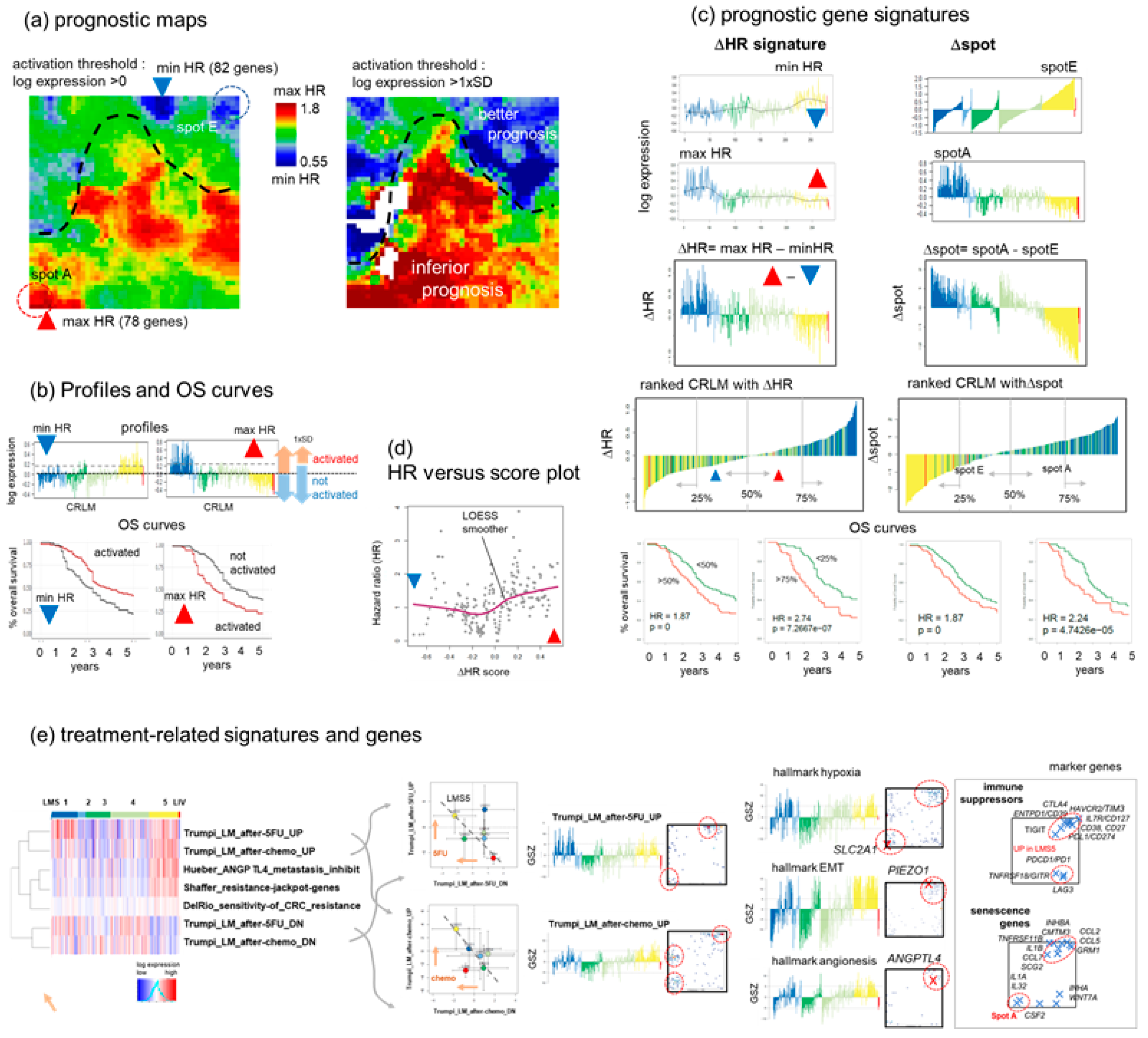 Cancers 15 03835 g007
