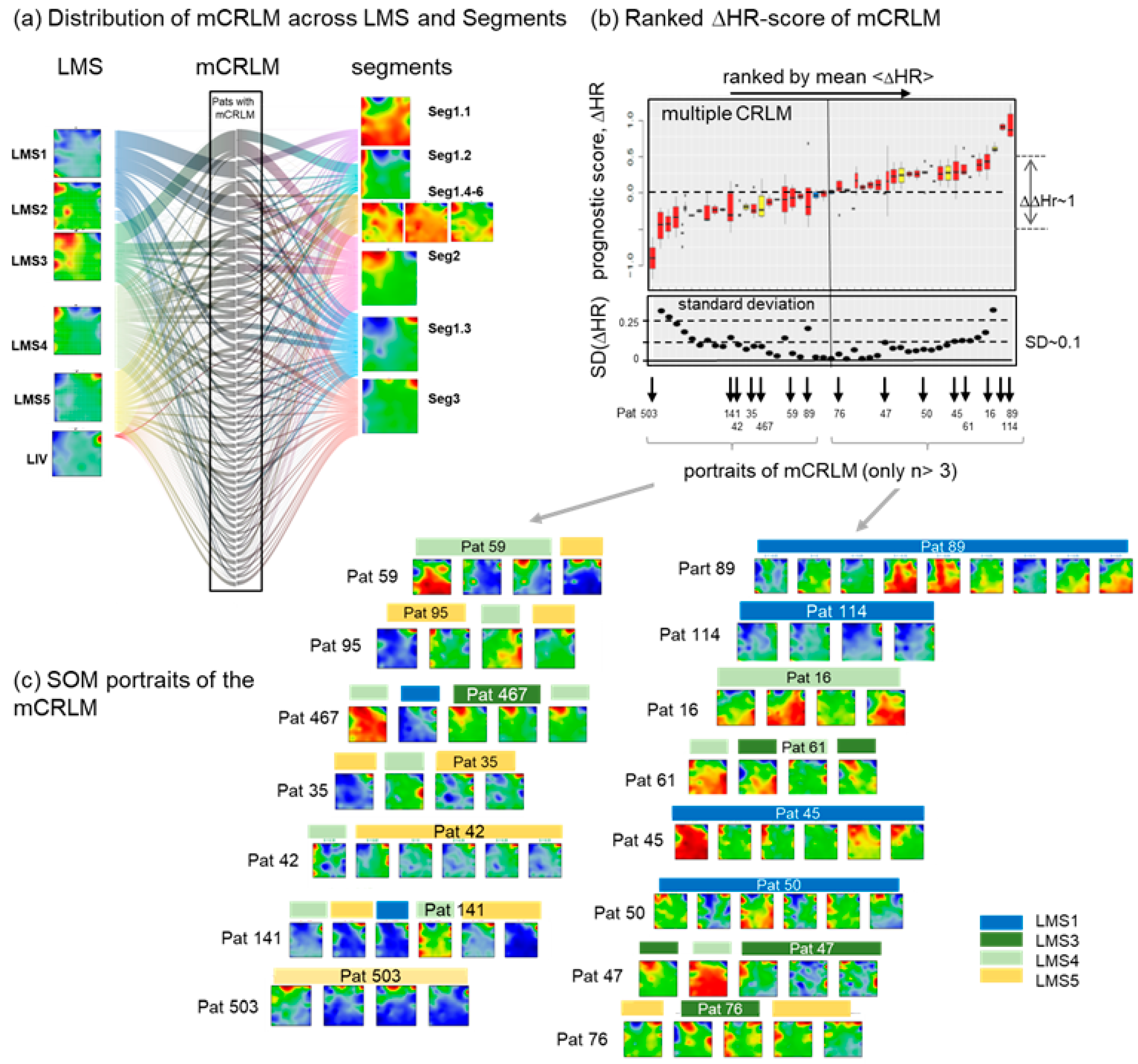 Cancers 15 03835 g008