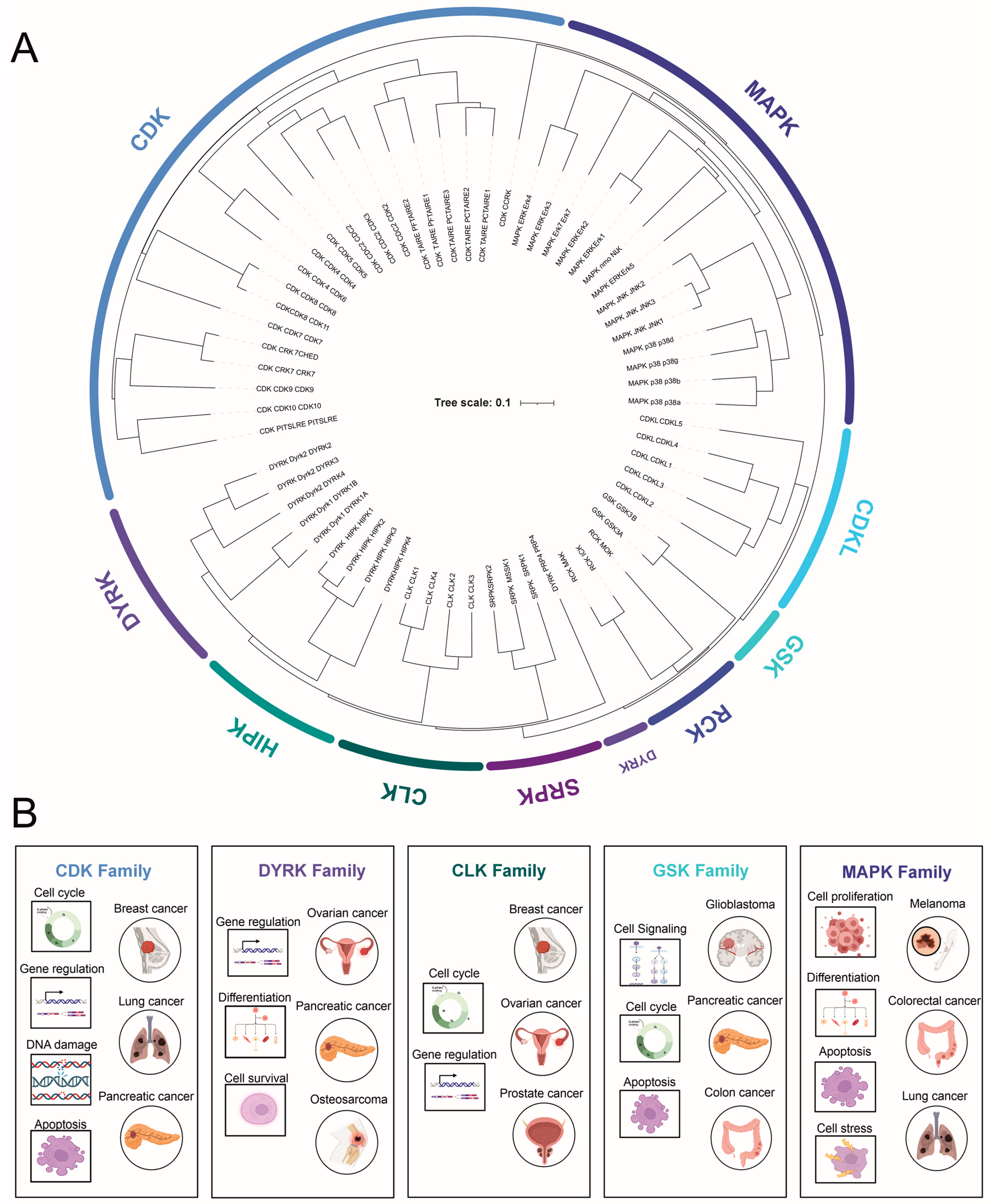 Cancers 15 03838 g001 Cancers 15 03838 g001