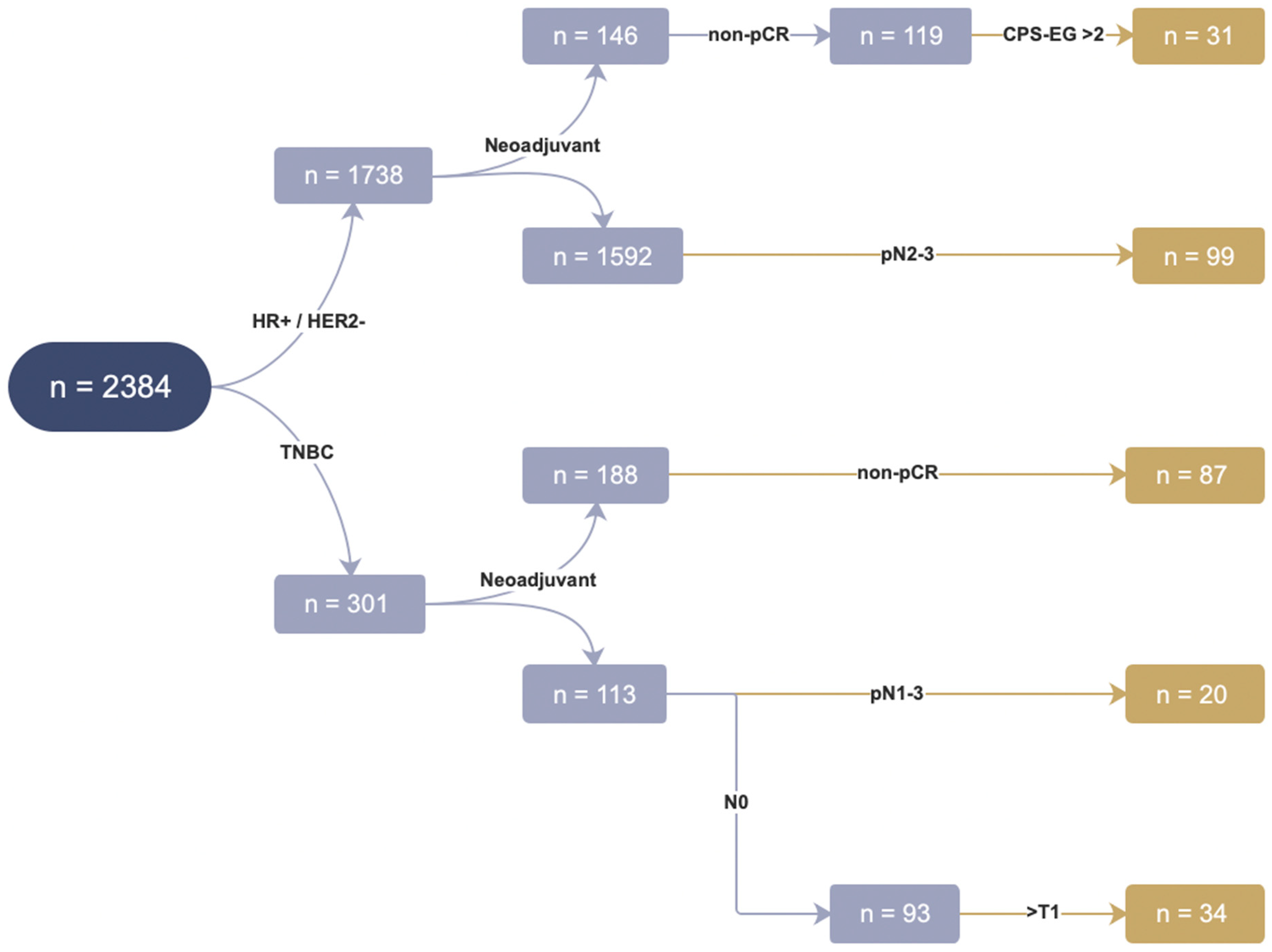 Cancers 15 03847 g001