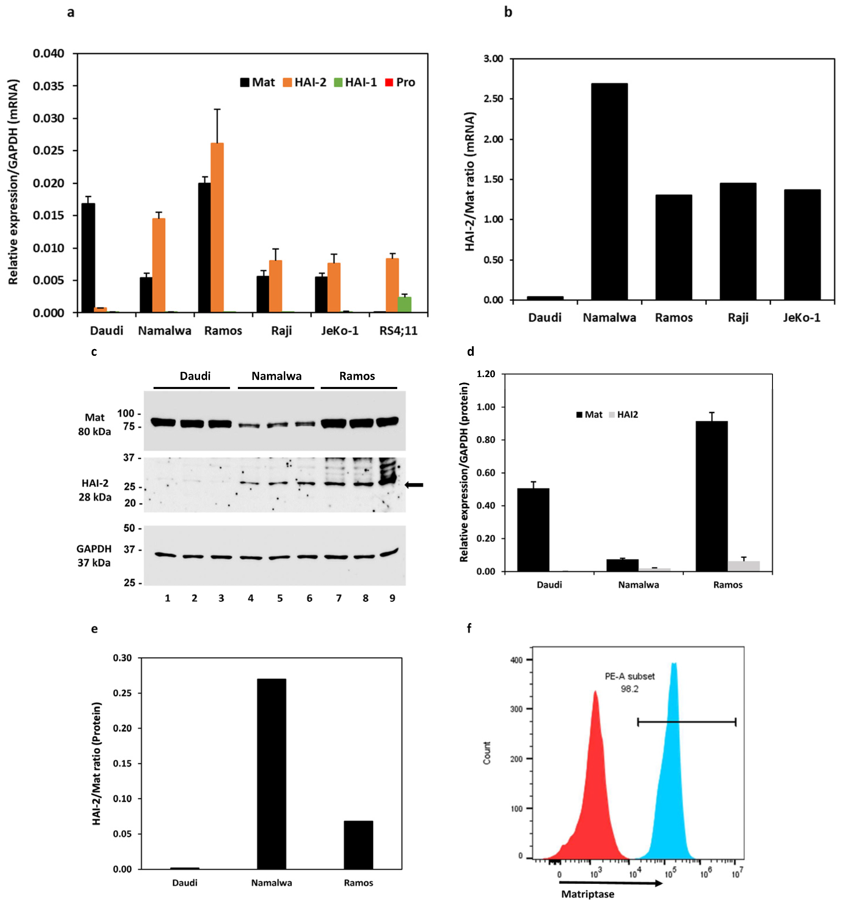 Cancers 15 03848 g001