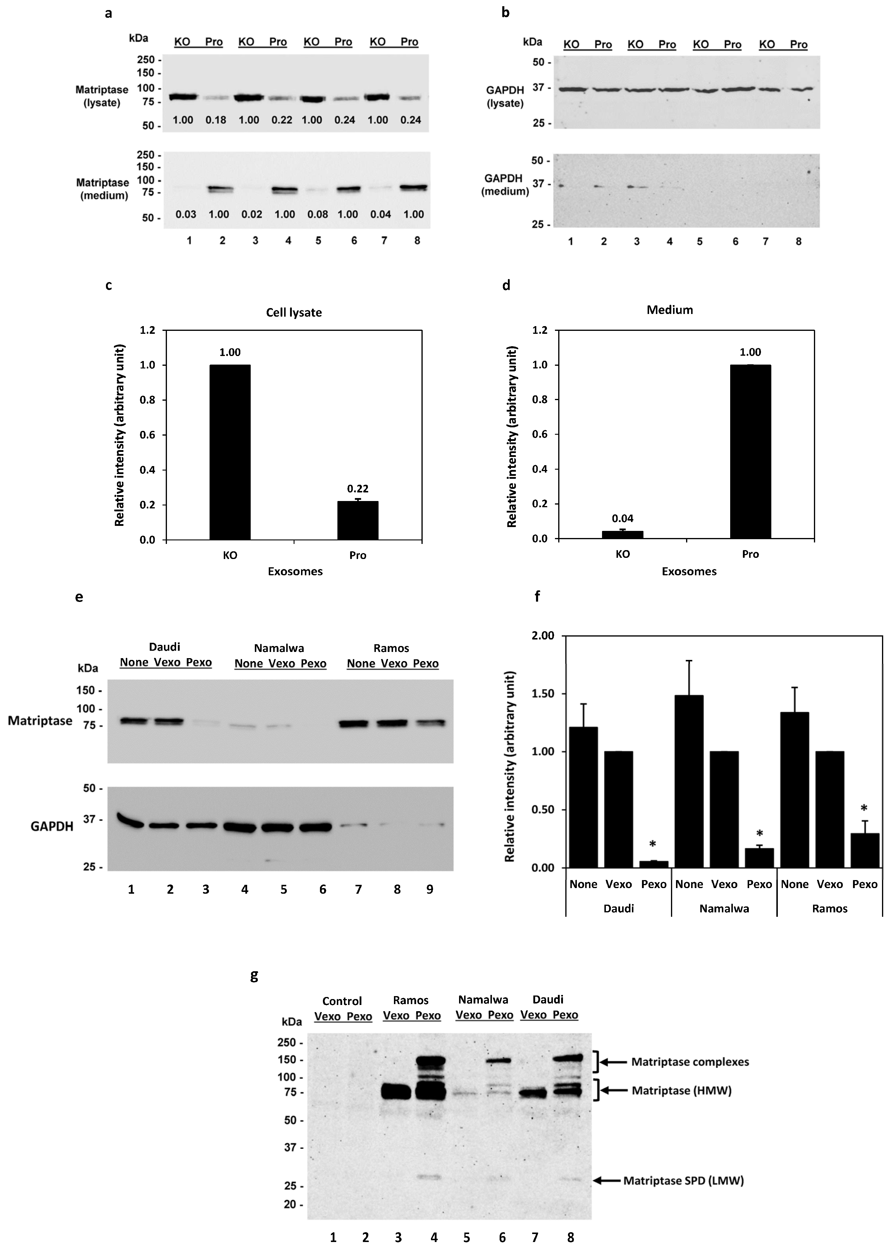 Cancers 15 03848 g002