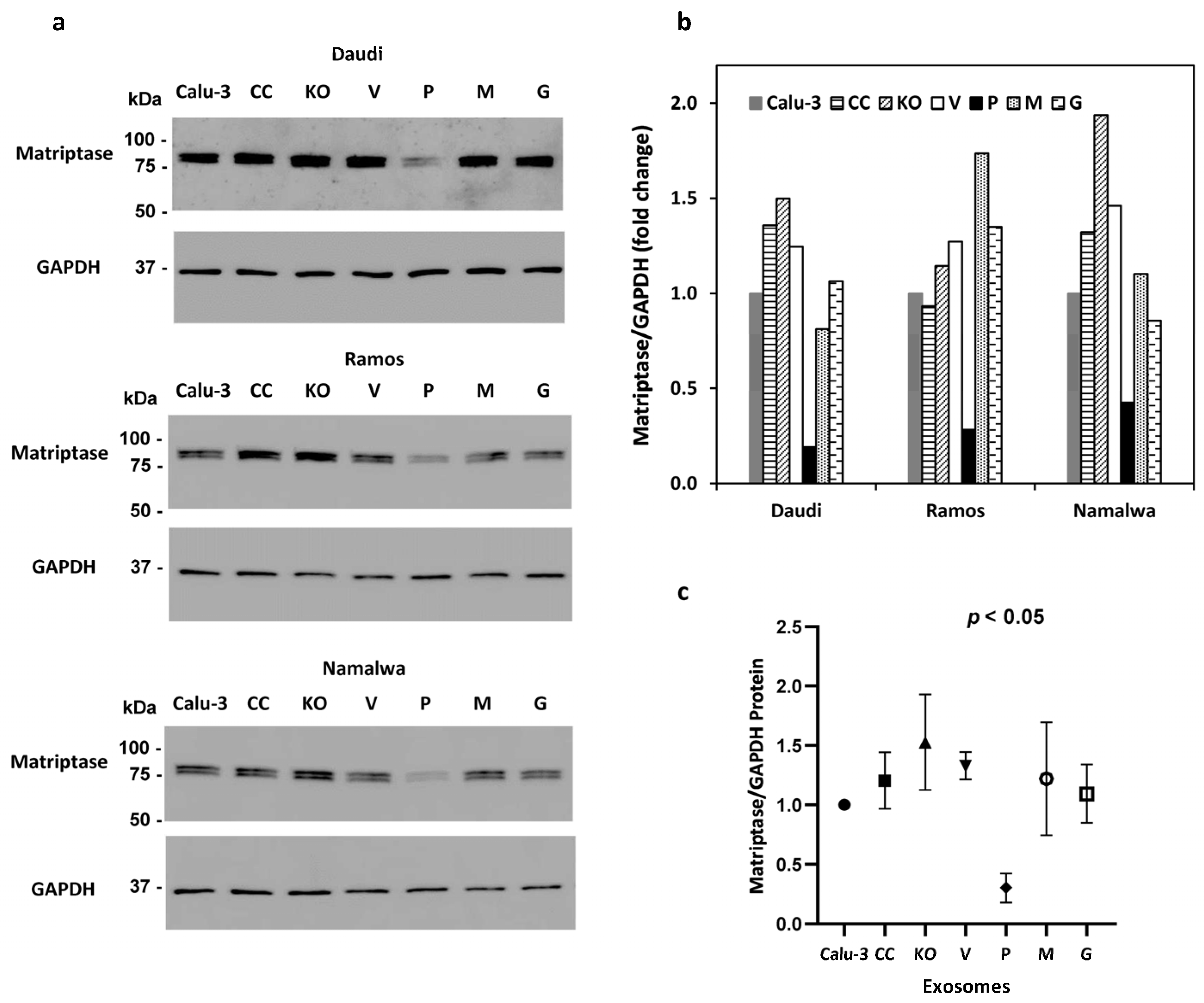 Cancers 15 03848 g003
