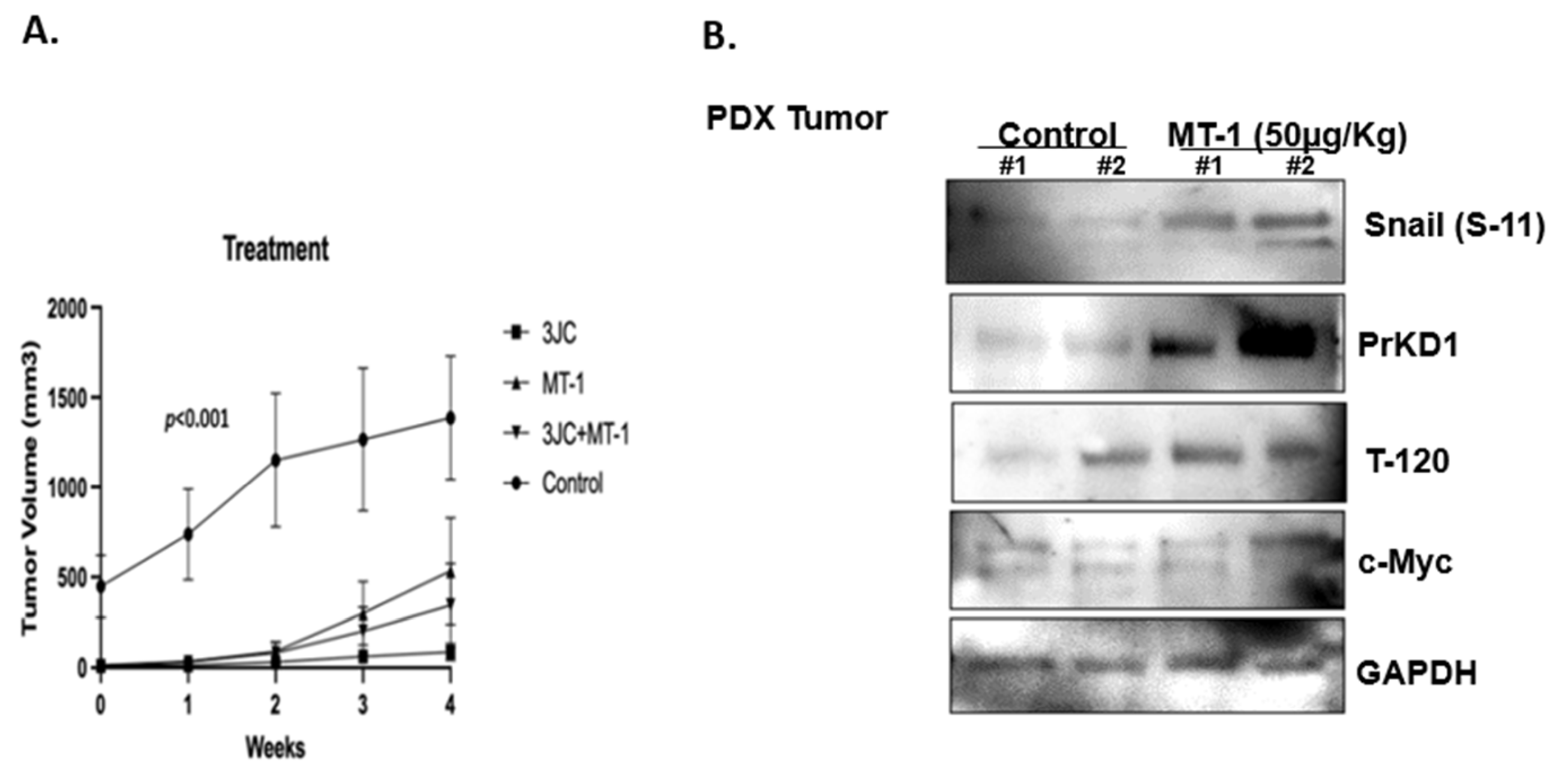 Cancers 15 03851 g004 Cancers 15 03851 g004