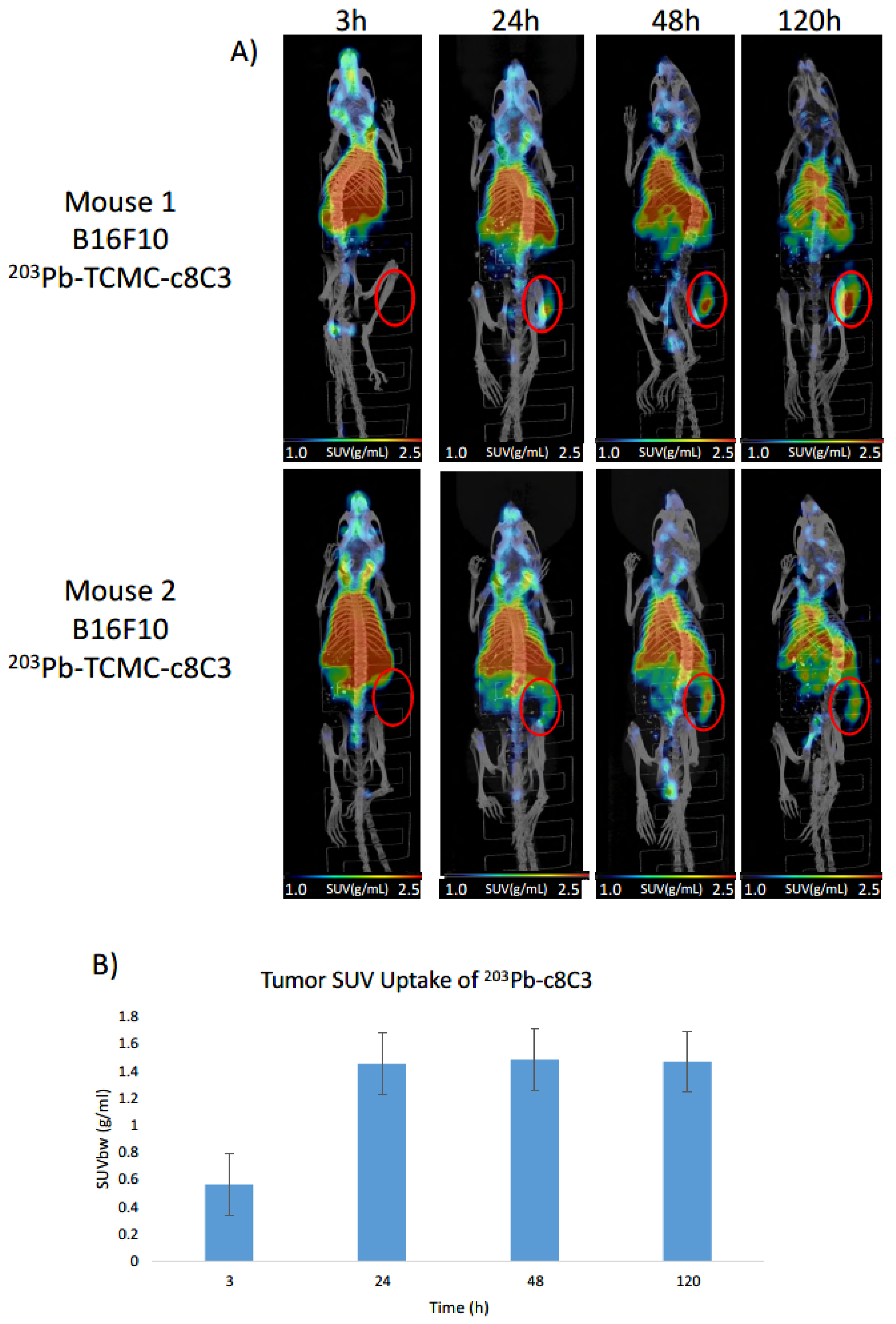 Cancers 15 03856 g002 Cancers 15 03856 g002