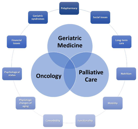 Delivering Palliative and Supportive Care for Older Adults with 