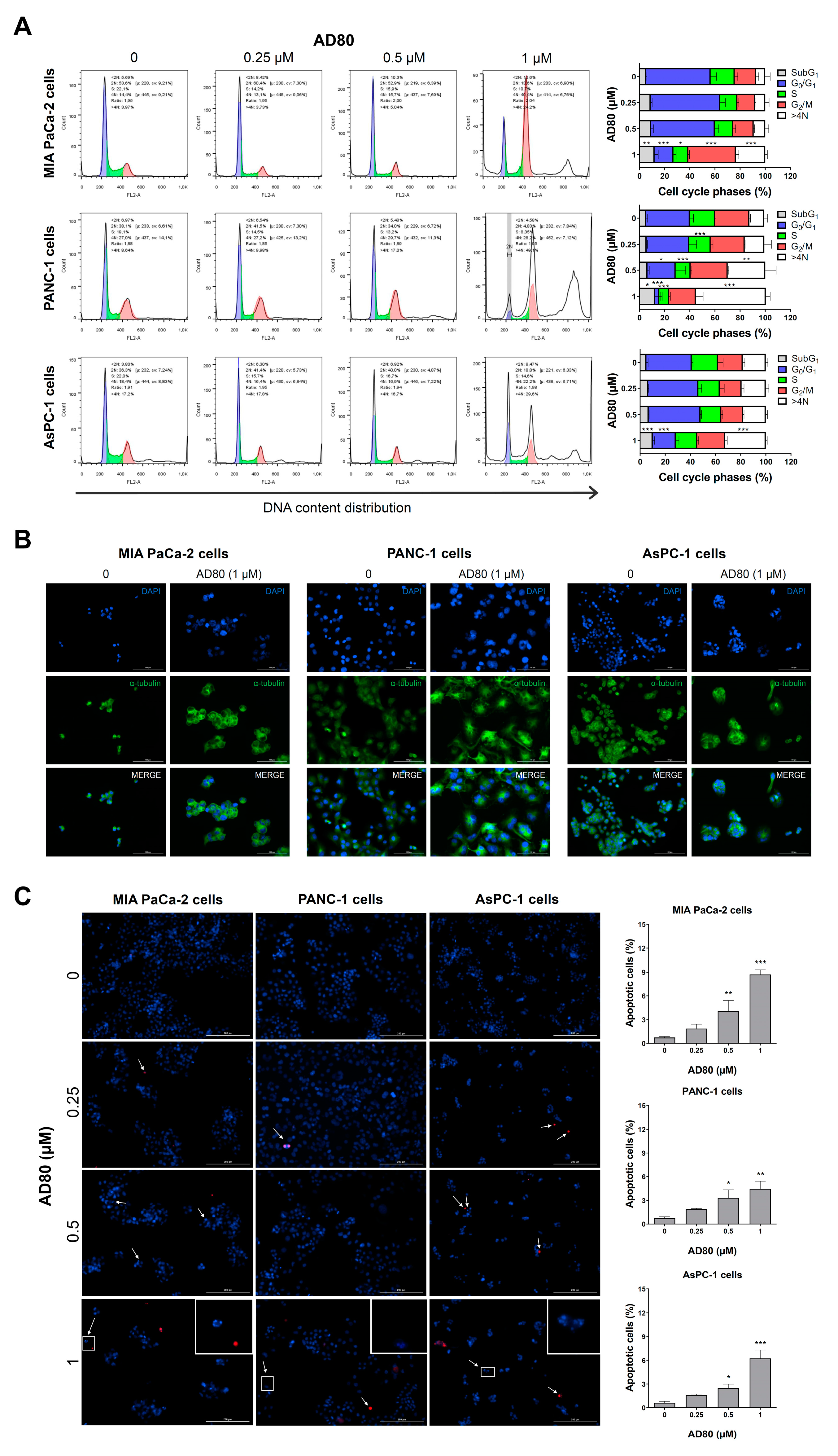Cancers 15 03866 g002