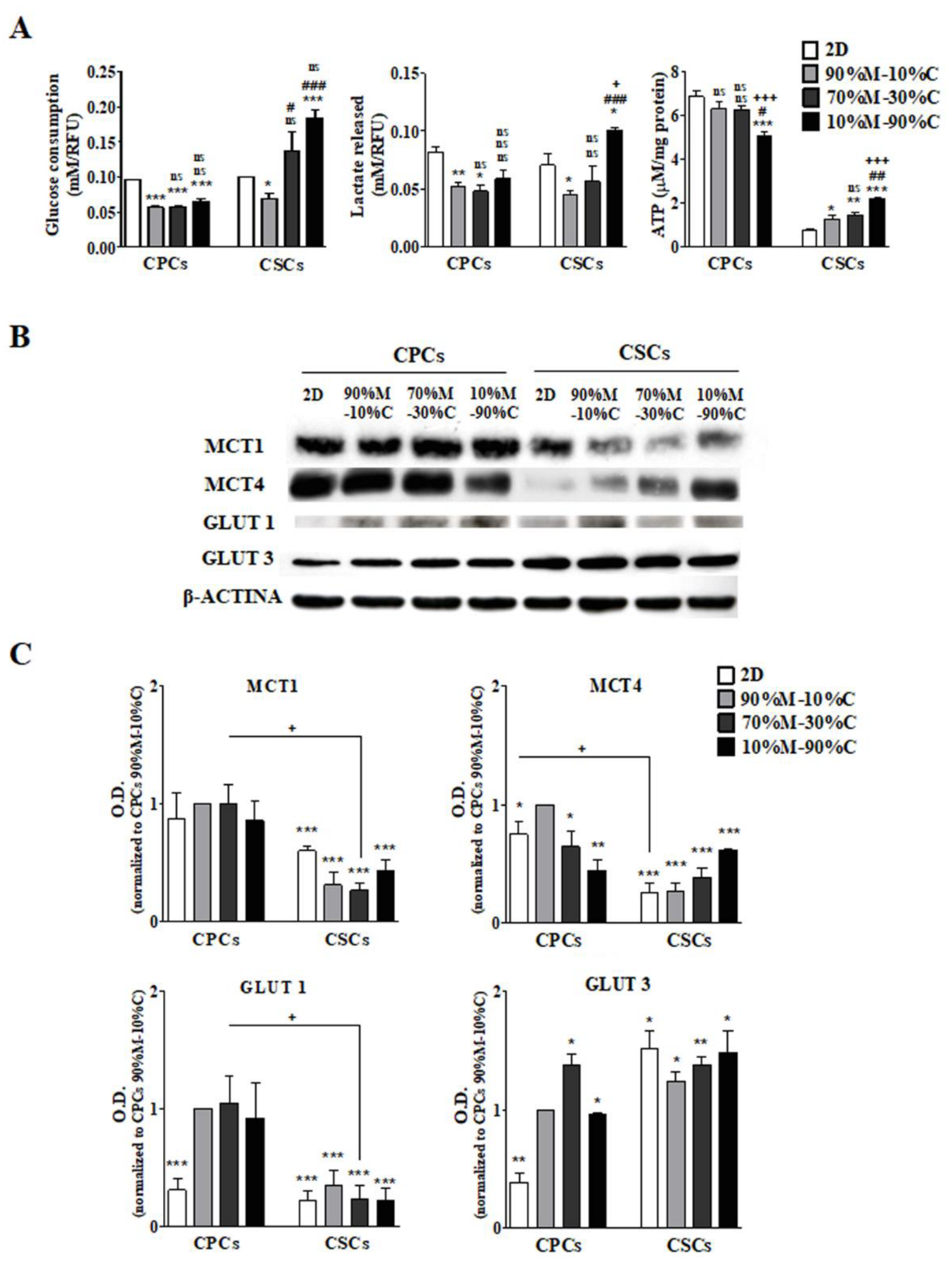 Cancers 15 03868 g001 Cancers 15 03868 g001