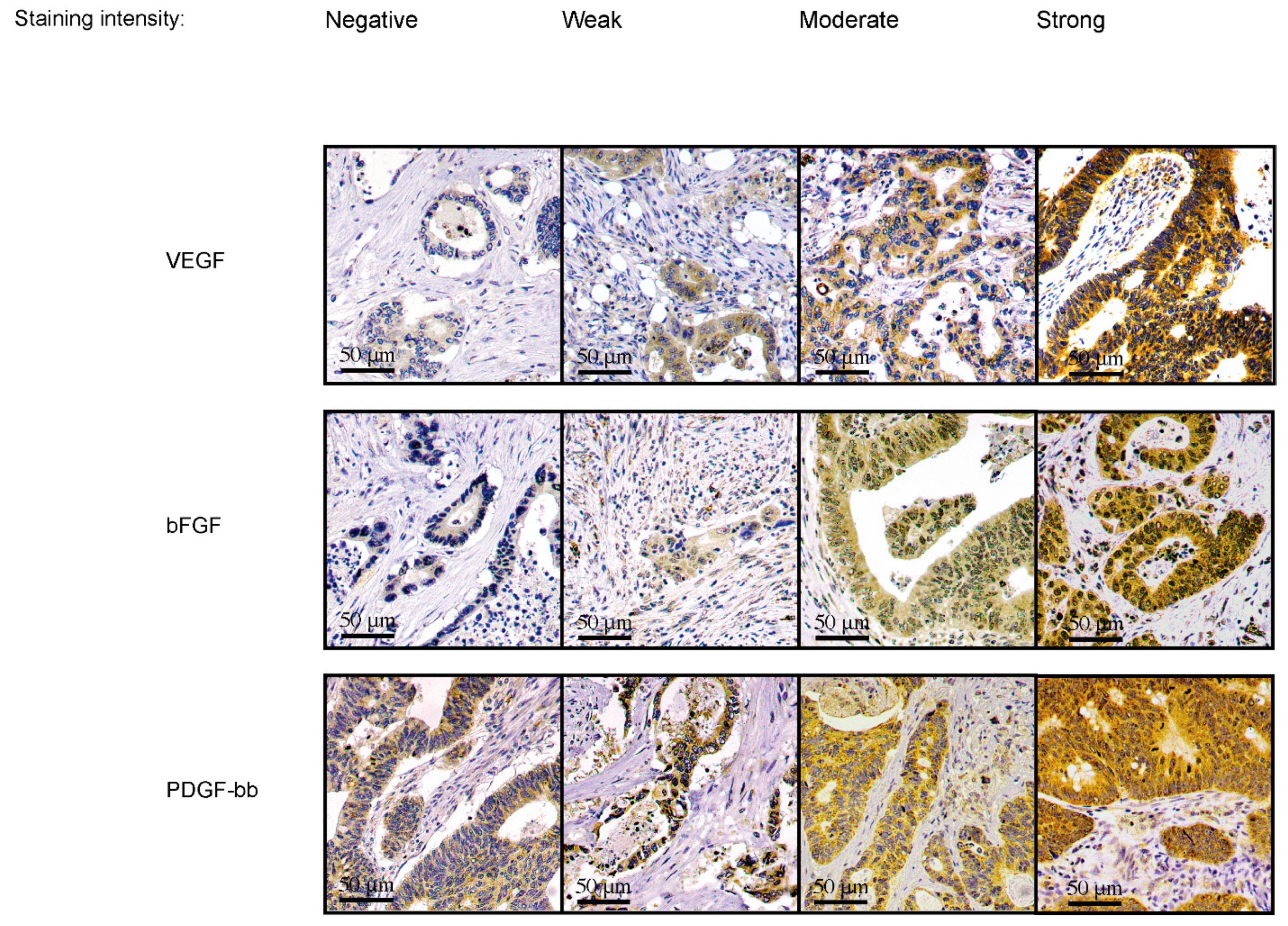 Cancers 15 03871 g001 Cancers 15 03871 g001