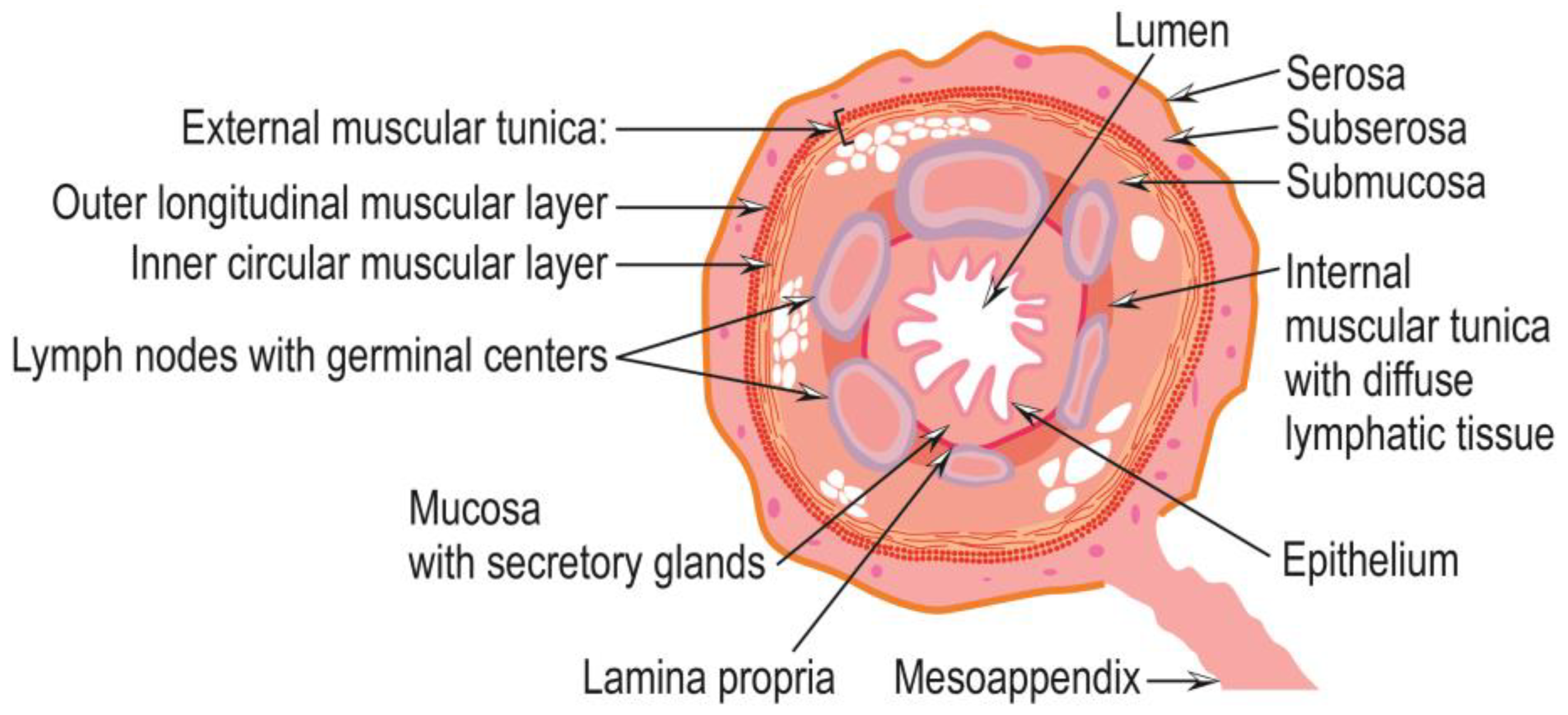 Cancers 15 03872 g003