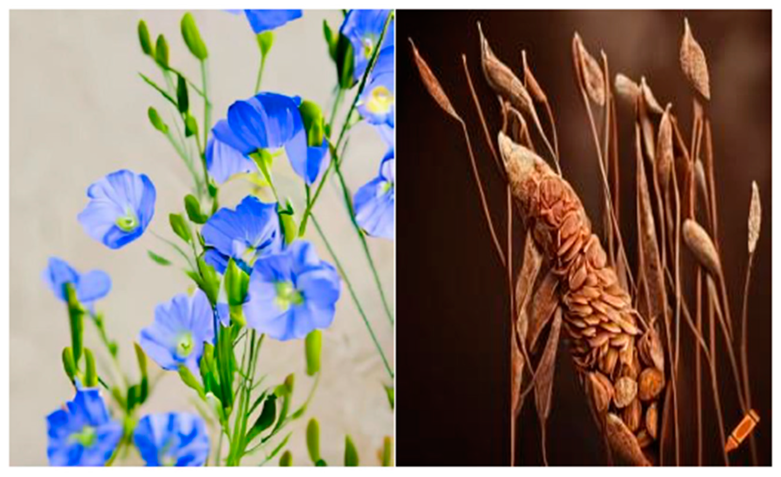 Cancers 15 03874 g001 Cancers 15 03874 g001