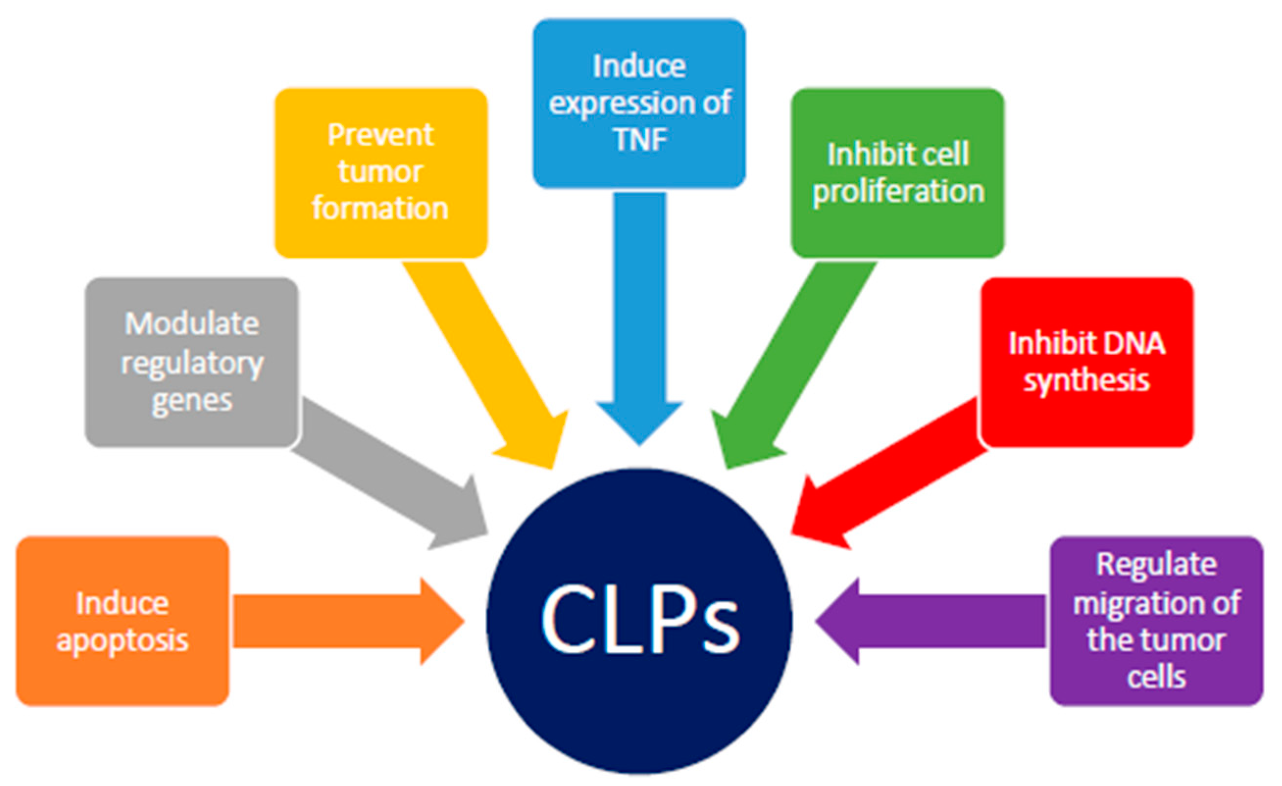 Cancers 15 03874 g002 Cancers 15 03874 g002