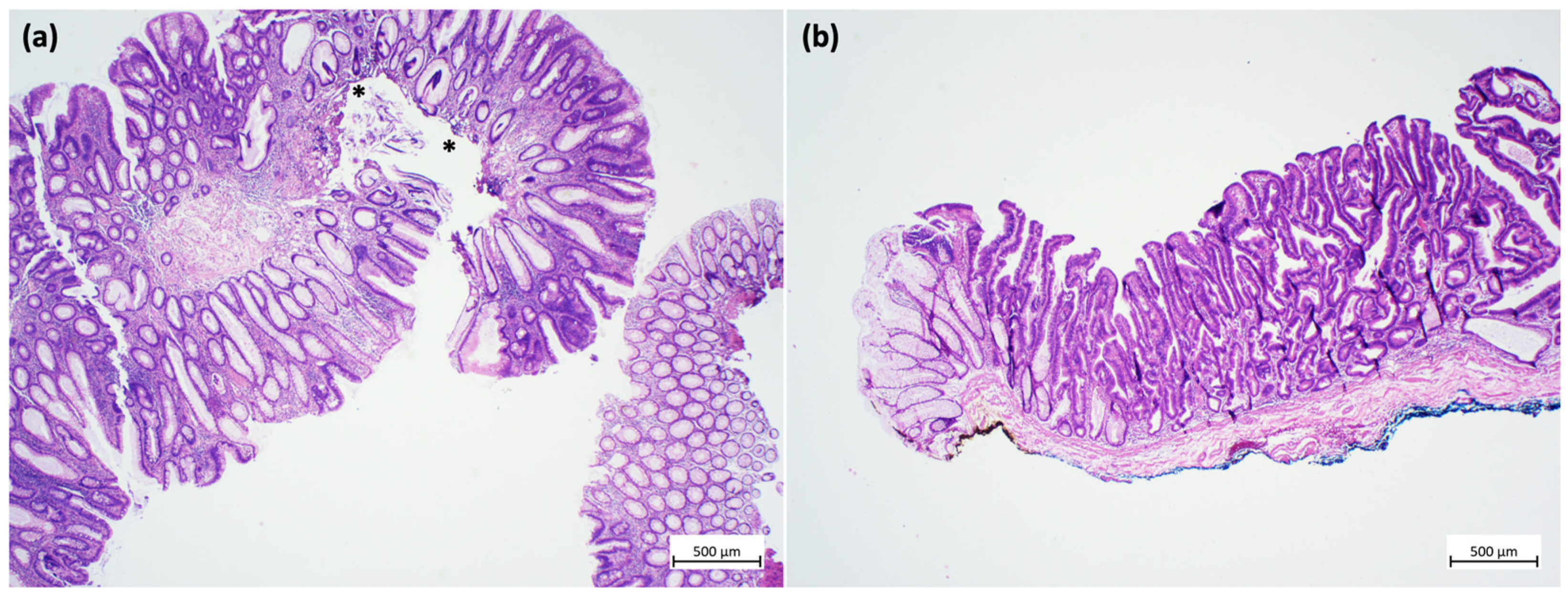 Cancers 15 03875 g001