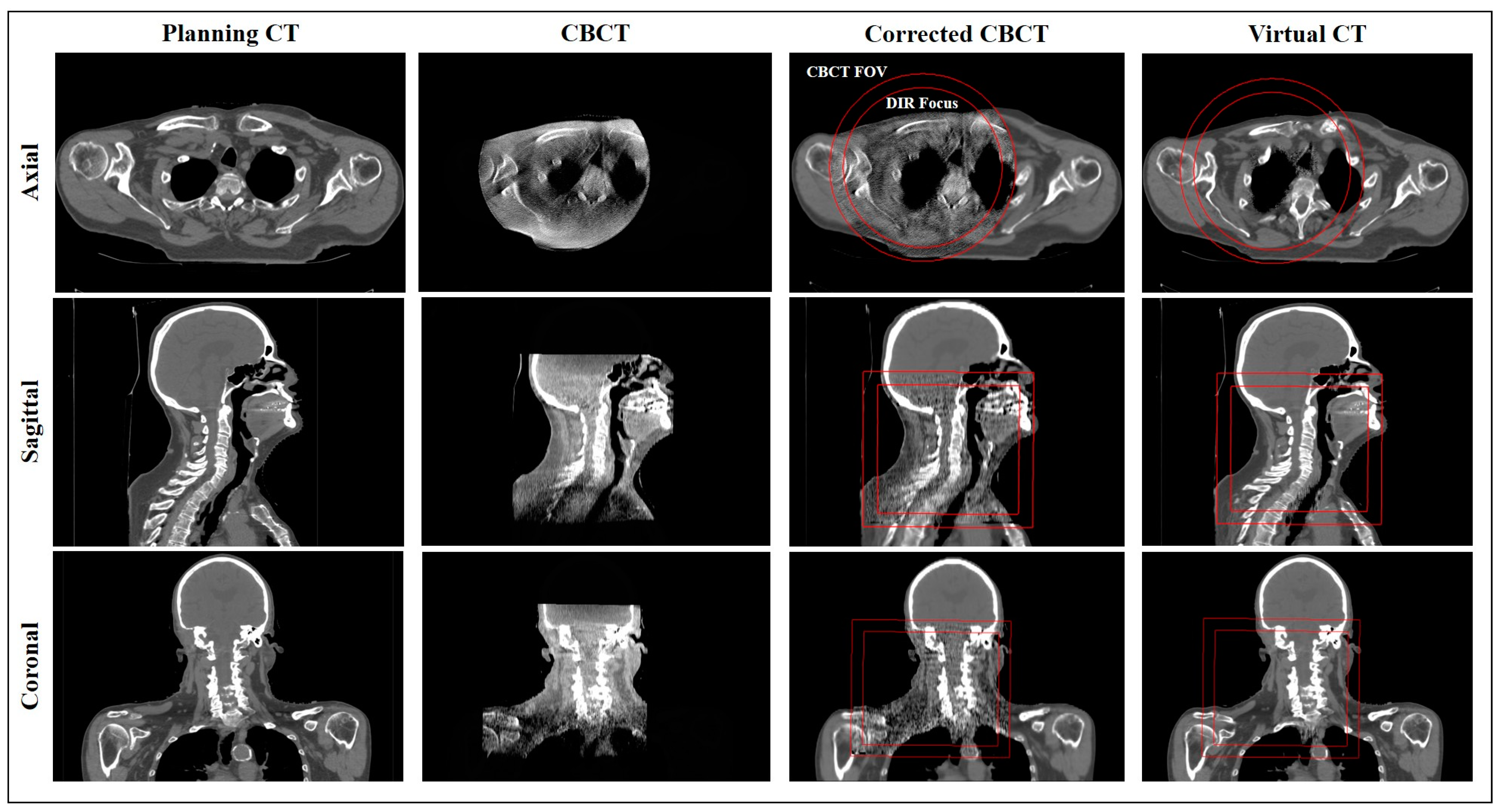 Cancers 15 03881 g003