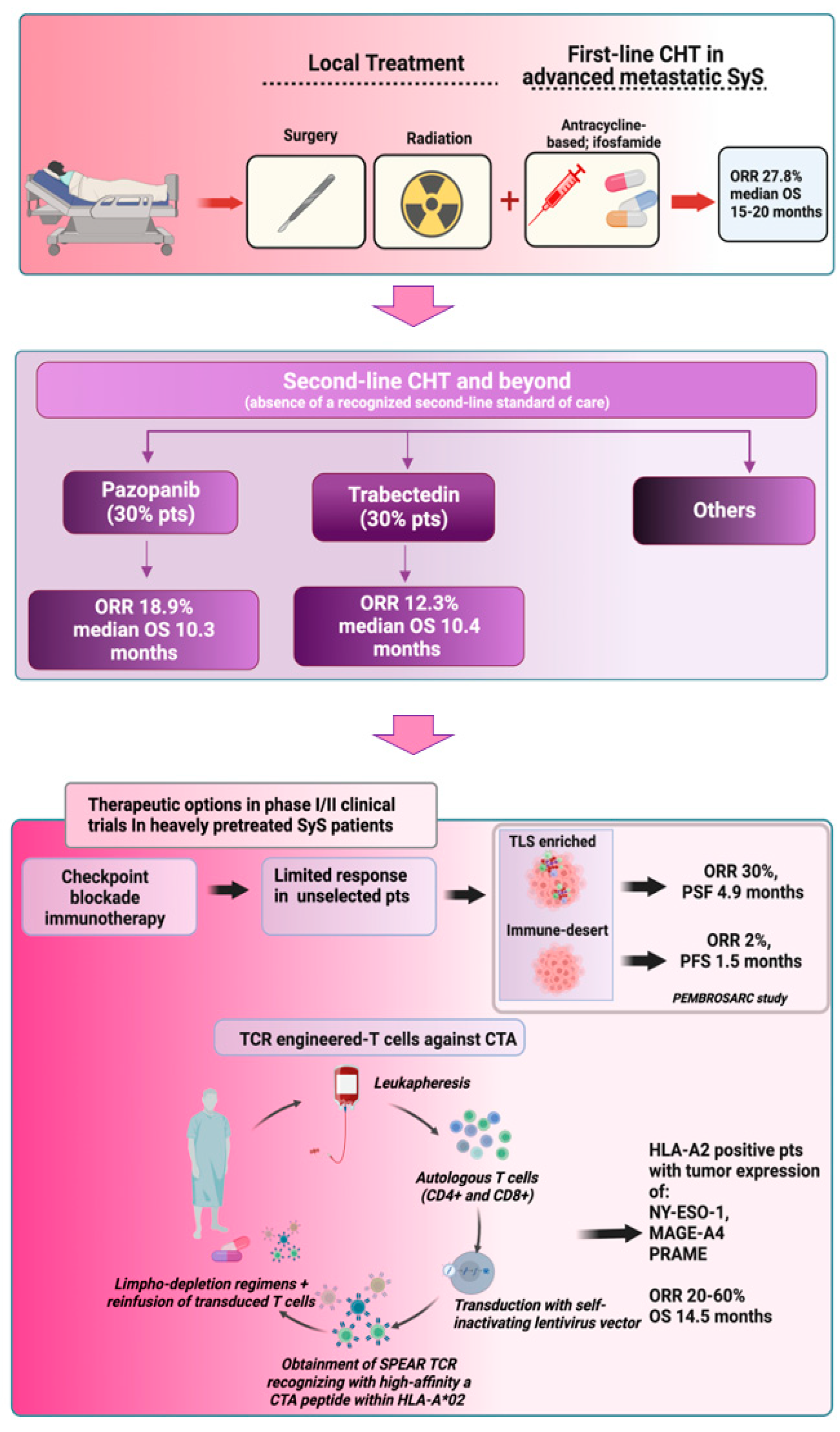 Cancers 15 03887 g002