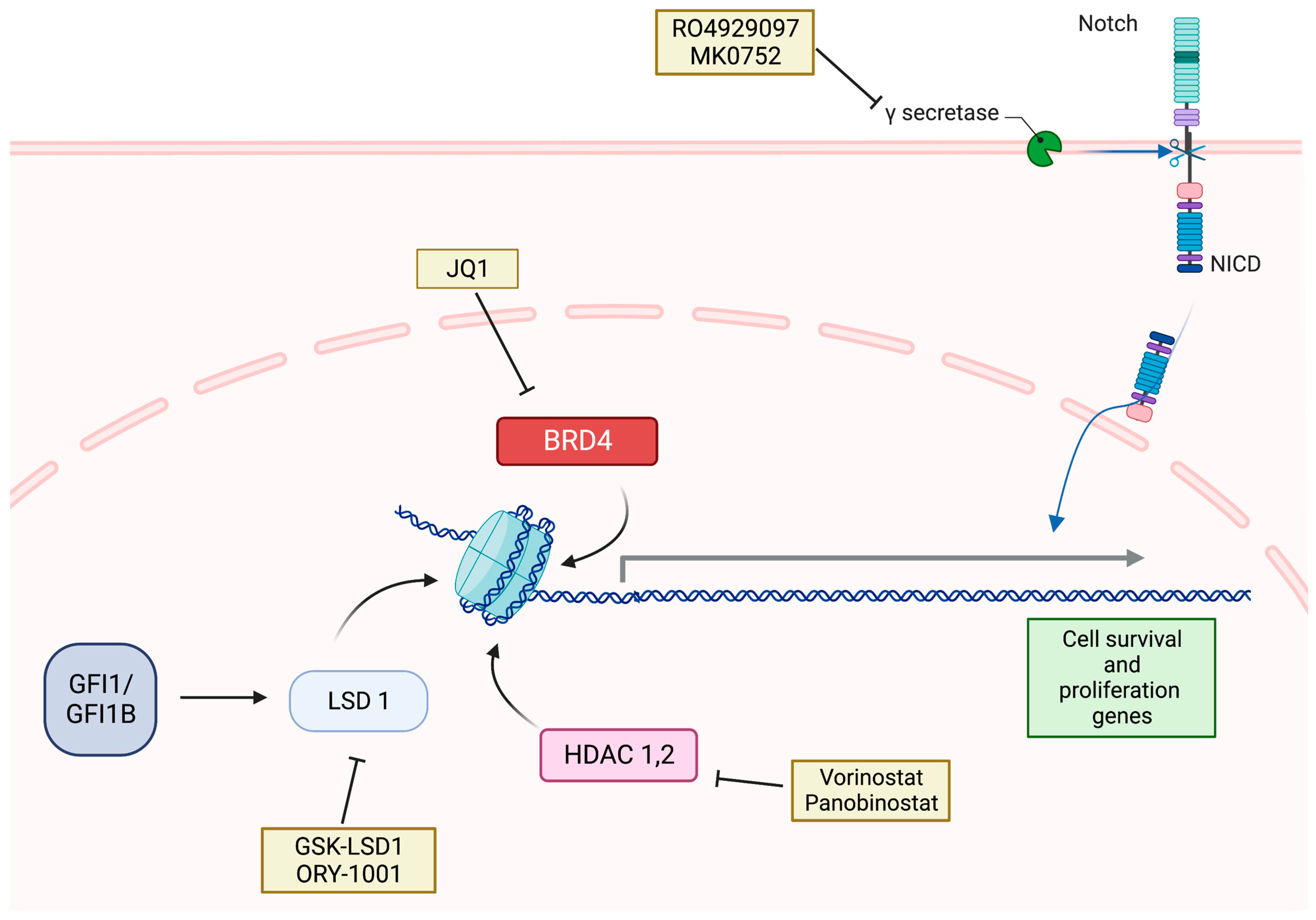 Cancers 15 03889 g004