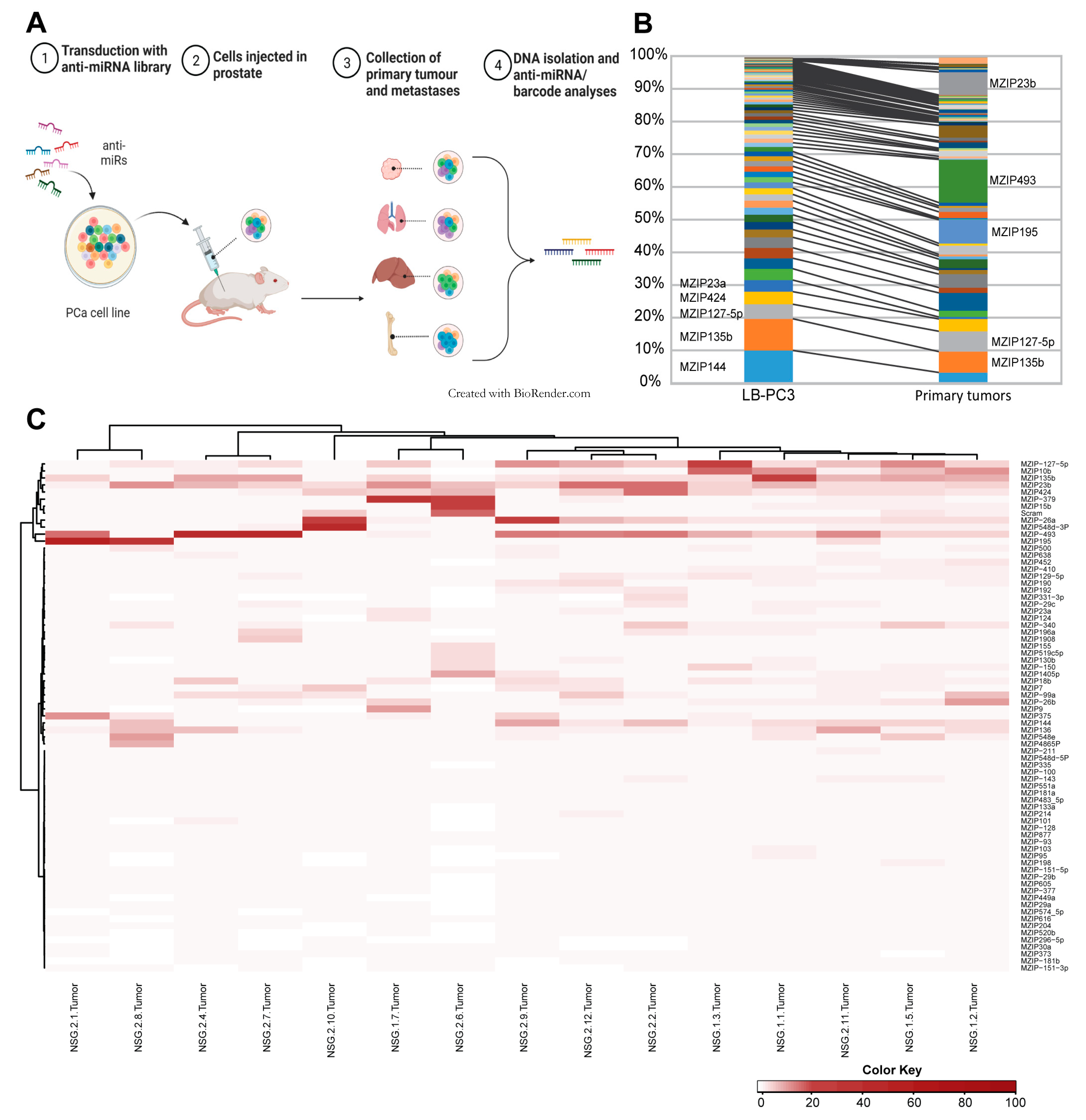 Cancers 15 03892 g001