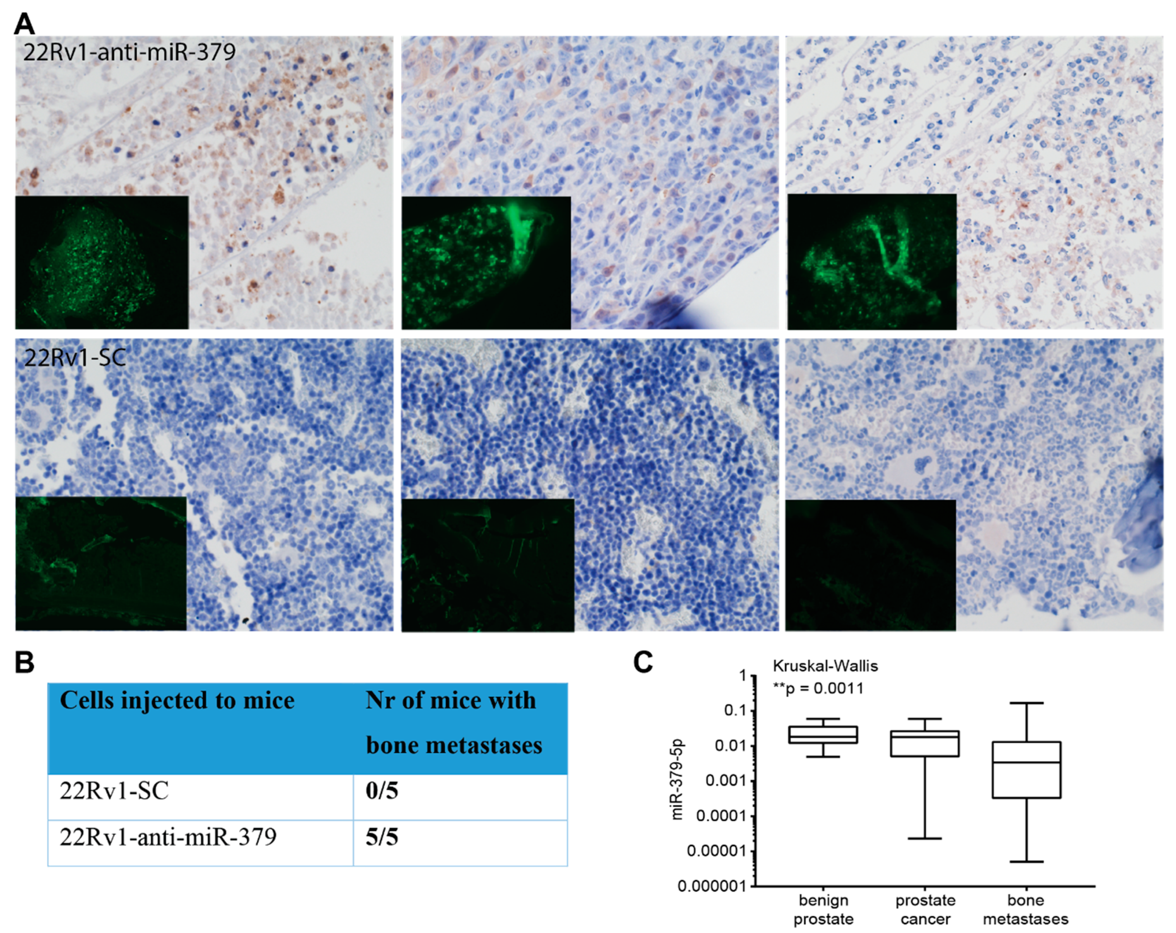 Cancers 15 03892 g004