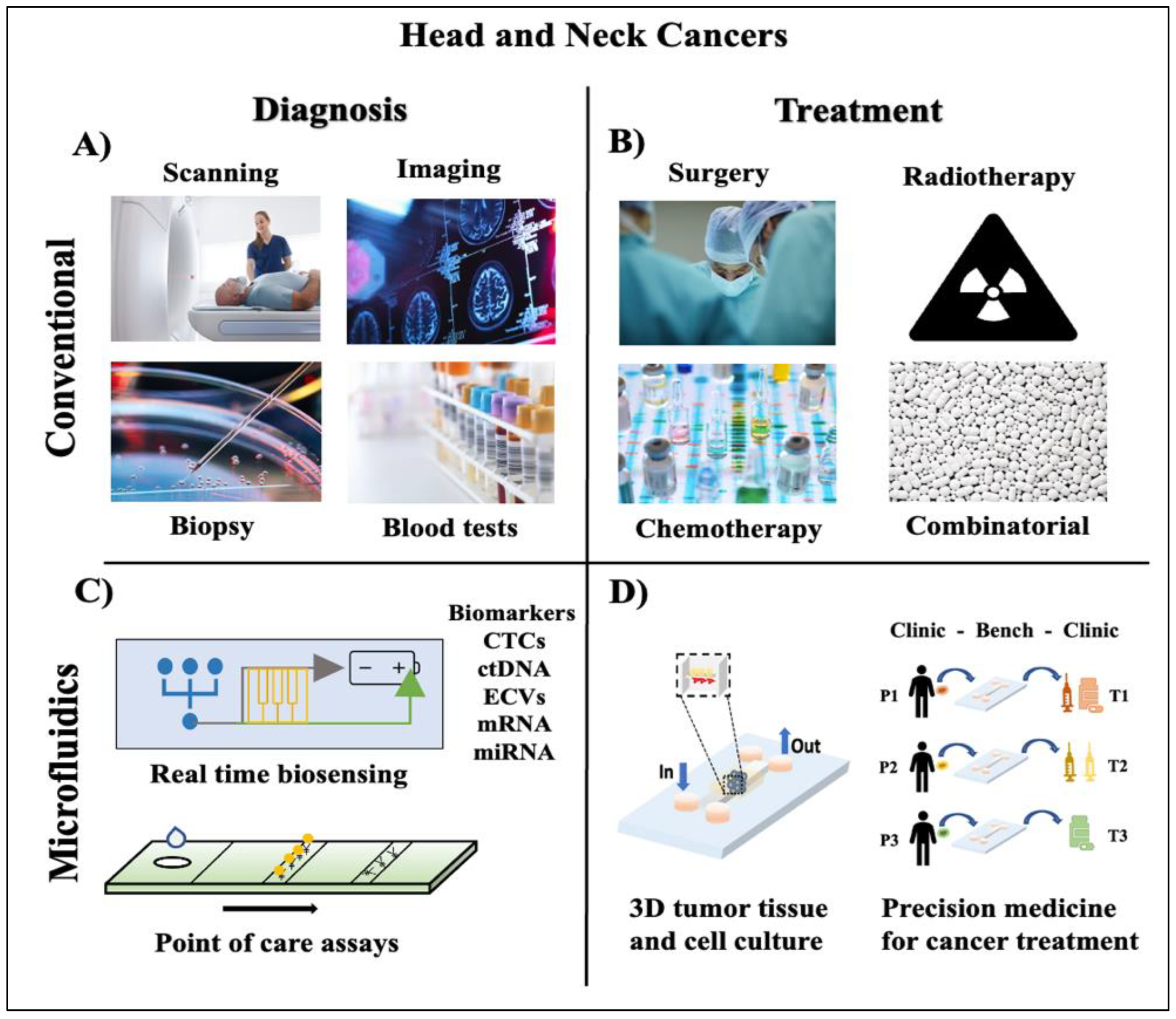 Cancers 15 03894 g001 Cancers 15 03894 g001
