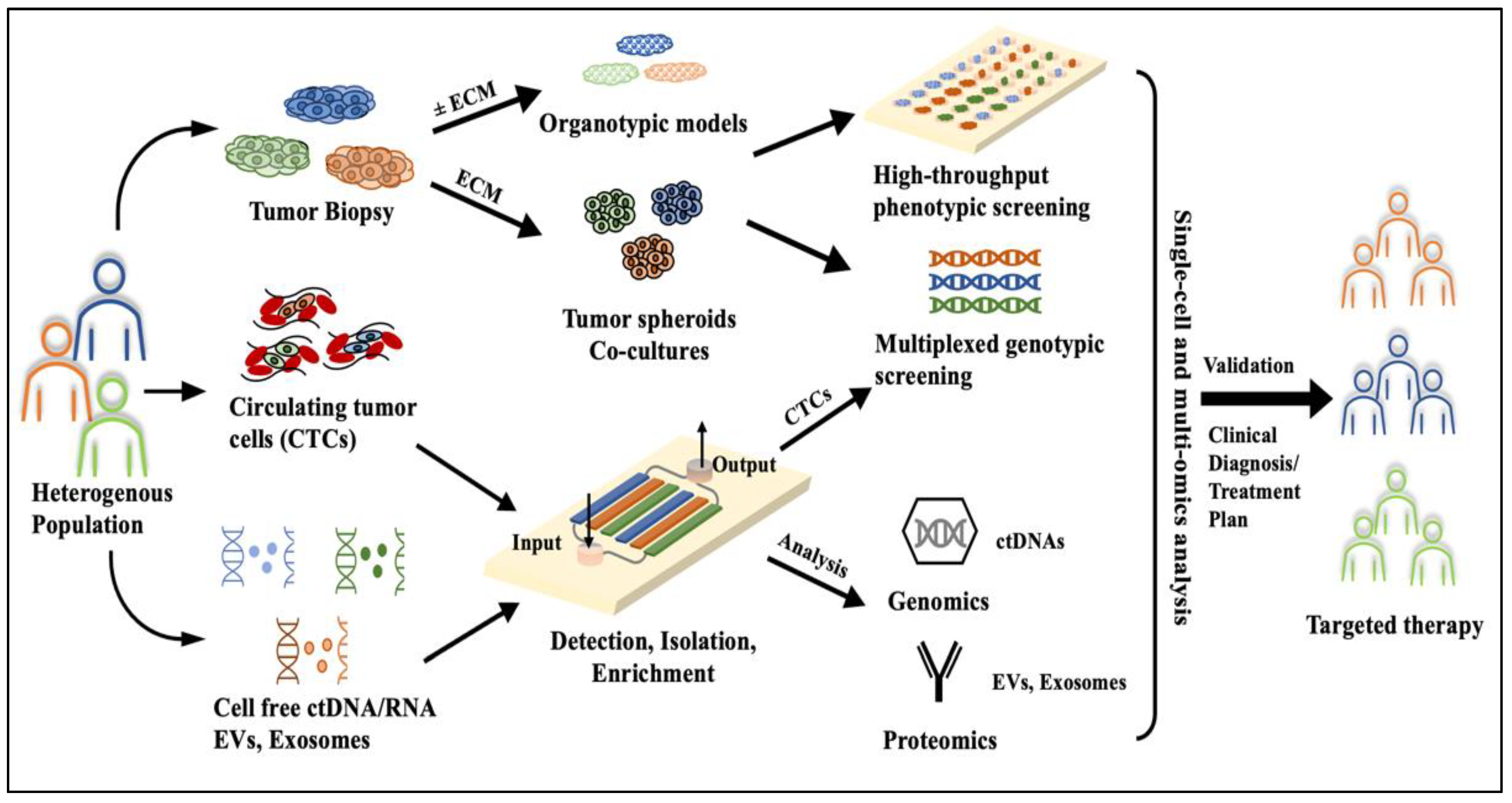 Cancers 15 03894 g002 Cancers 15 03894 g002