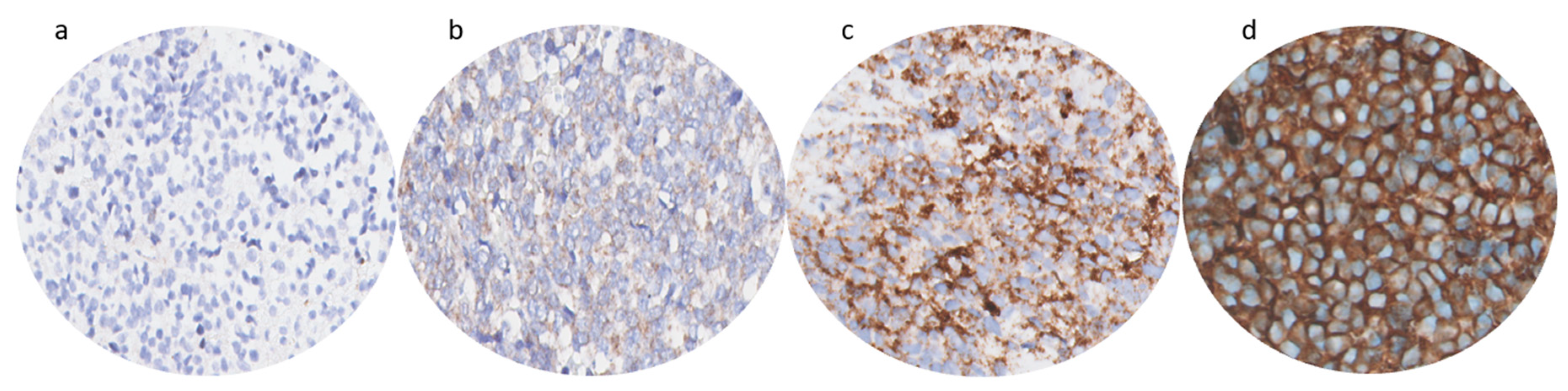 Cancers 15 03896 g001