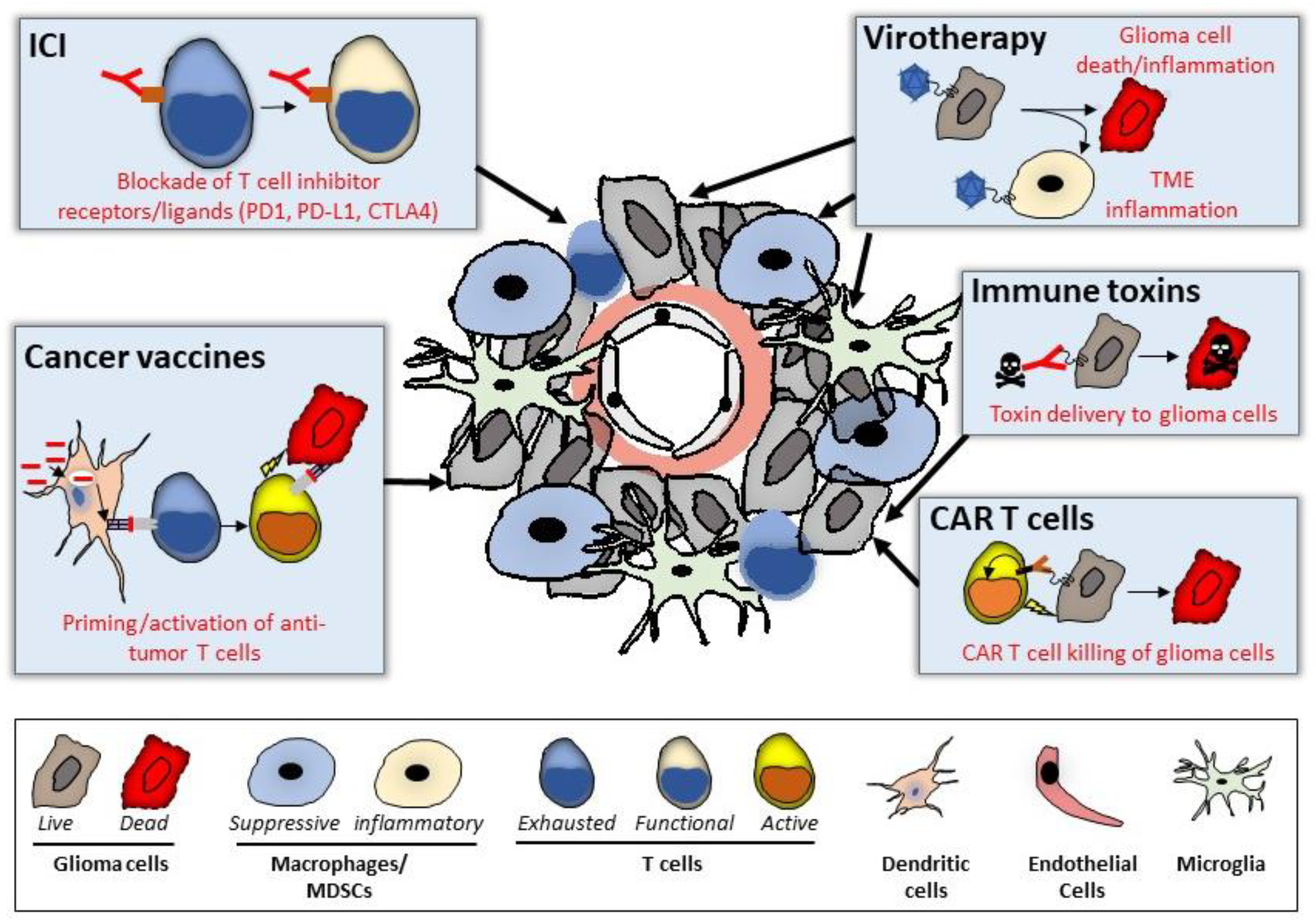 Cancers 15 03901 g001