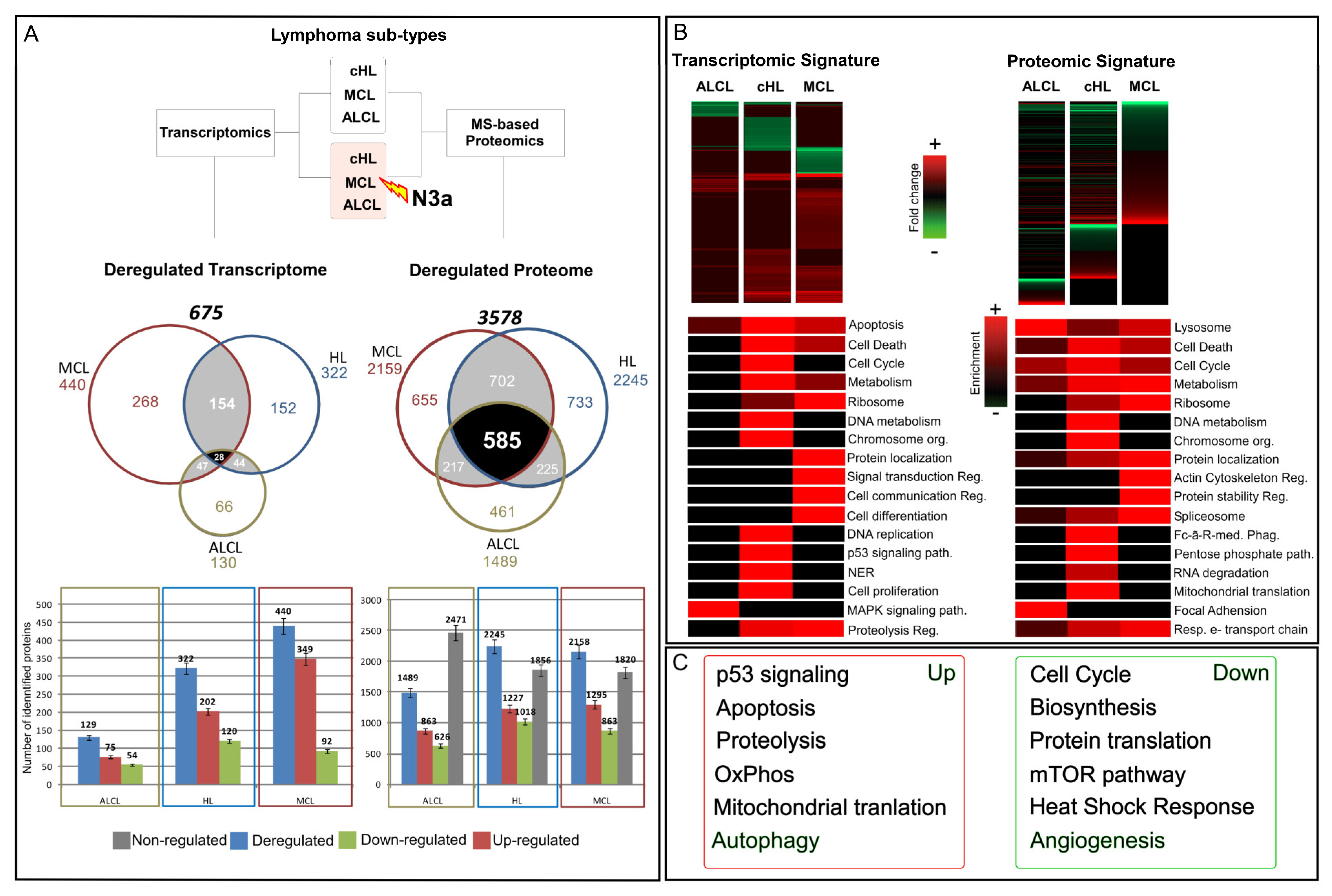 Cancers 15 03903 g001