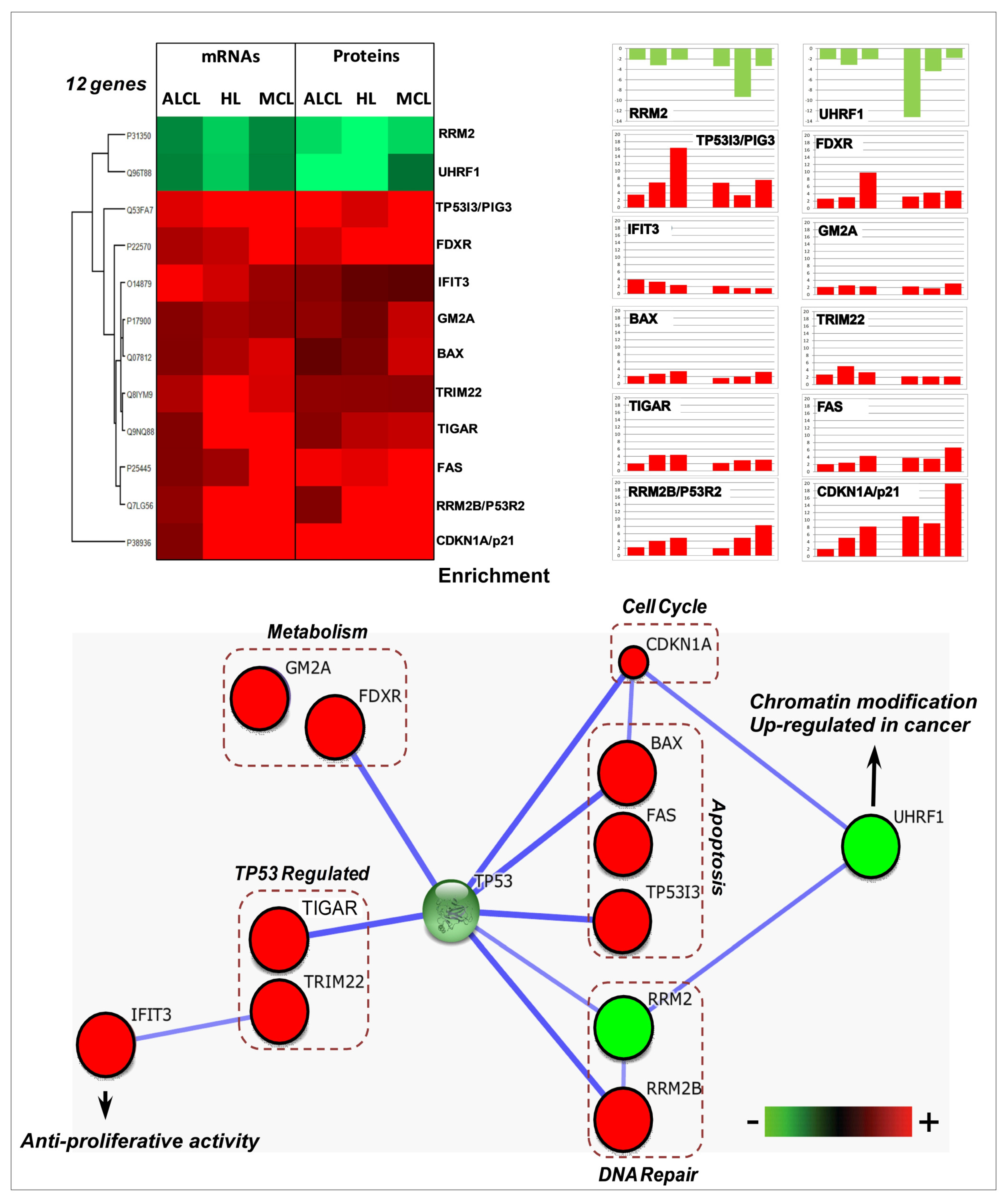 Cancers 15 03903 g002