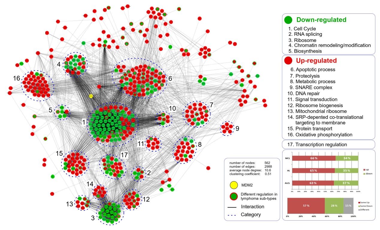 Cancers 15 03903 g003