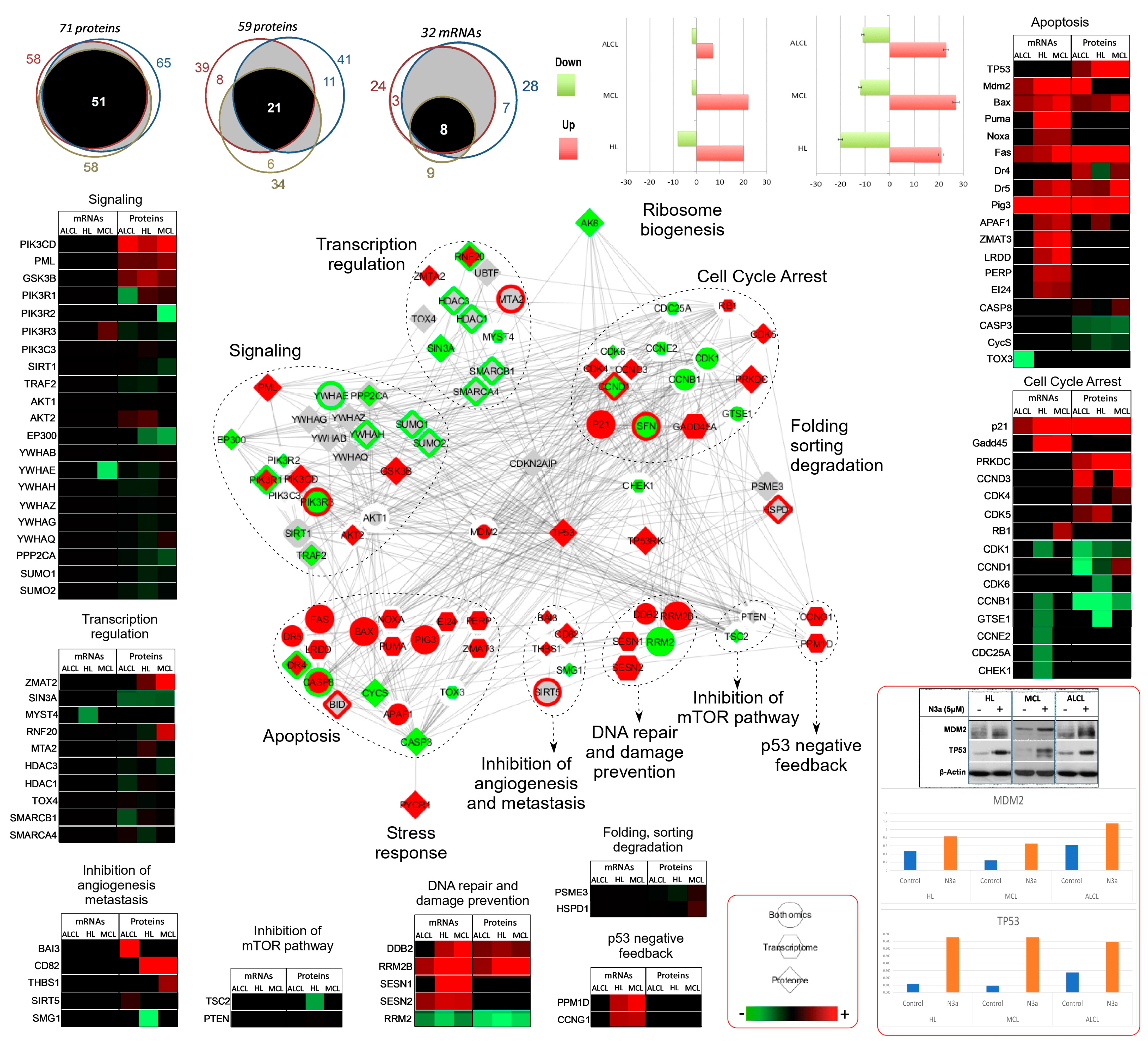 Cancers 15 03903 g004