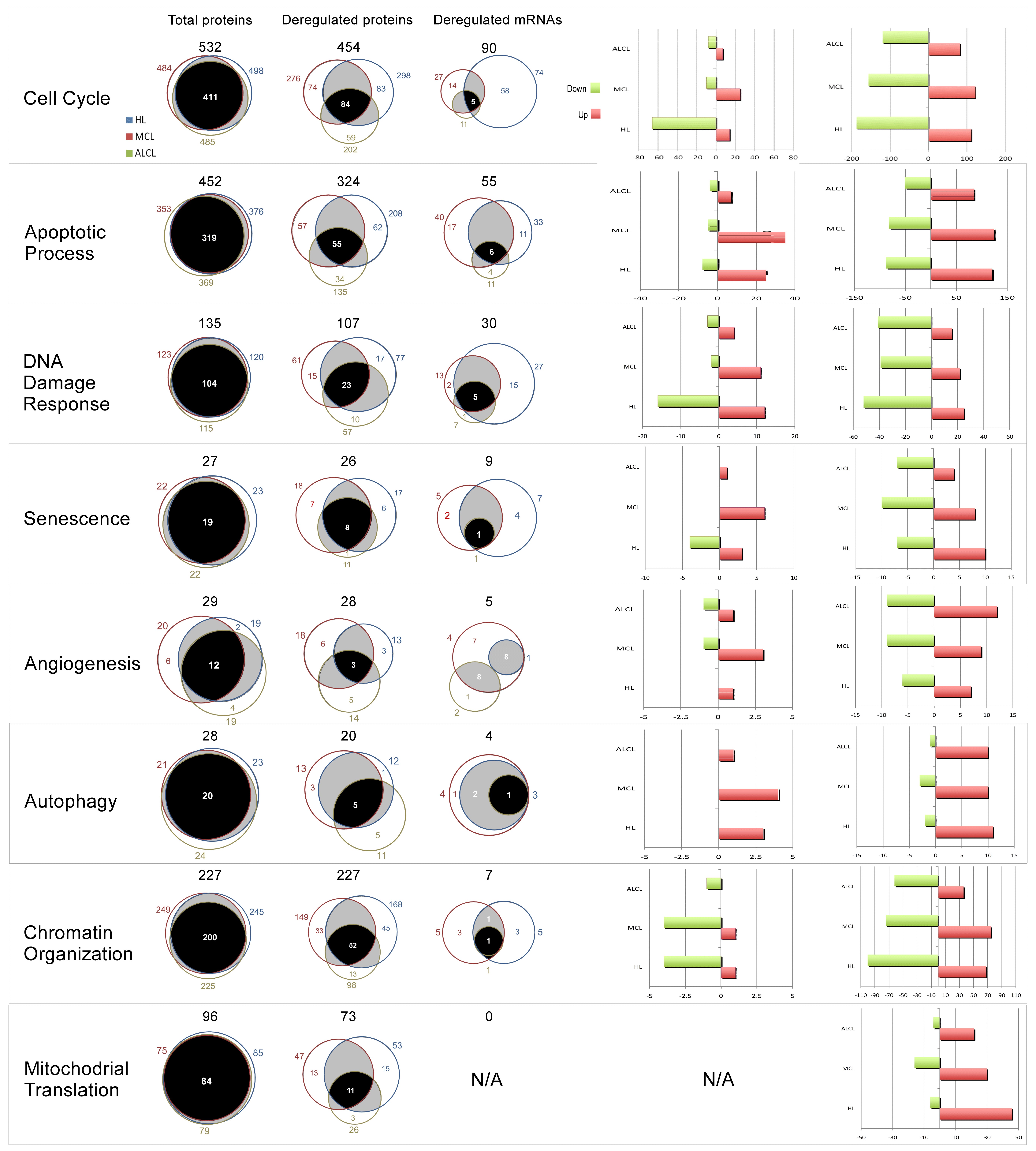 Cancers 15 03903 g005