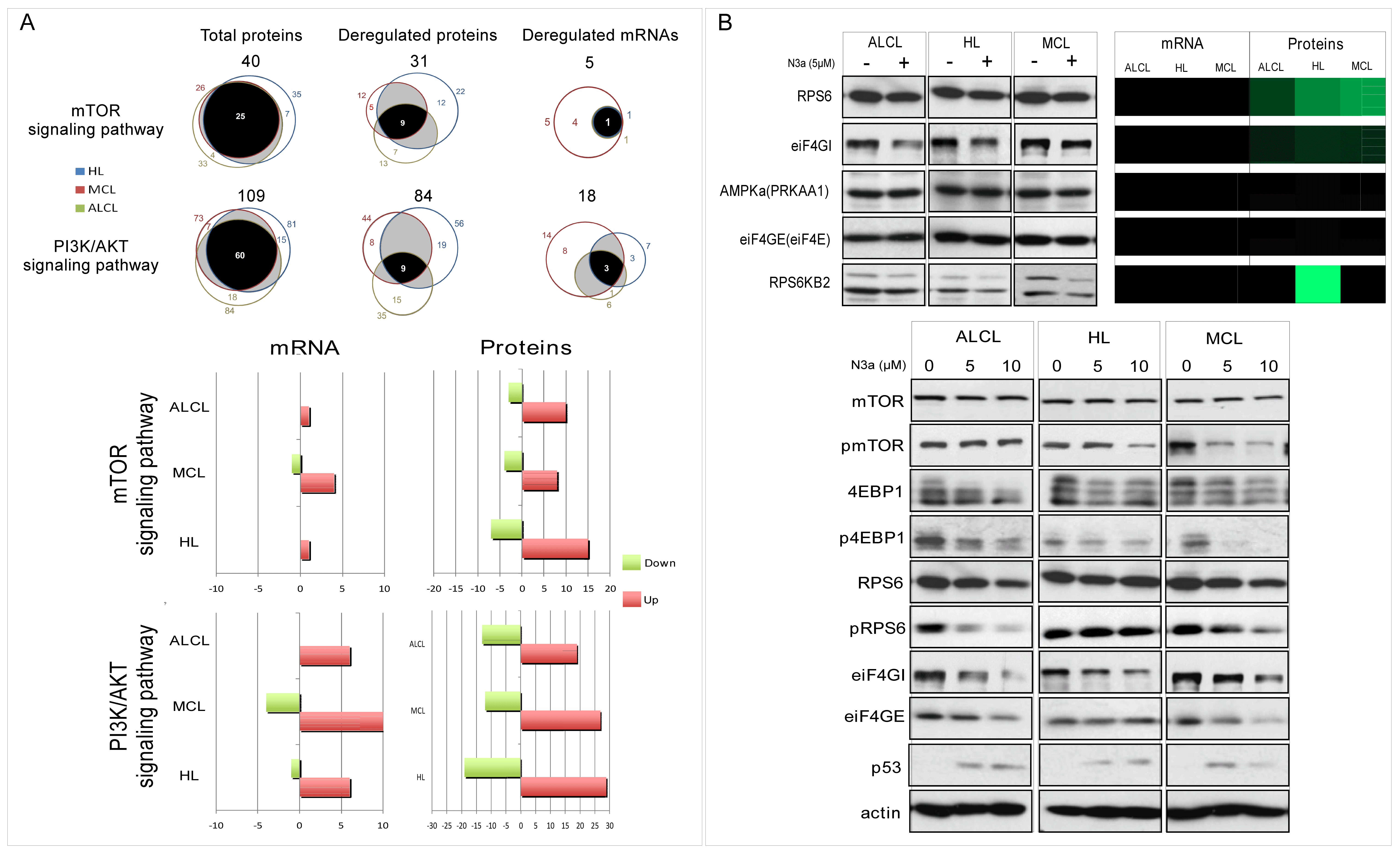 Cancers 15 03903 g006