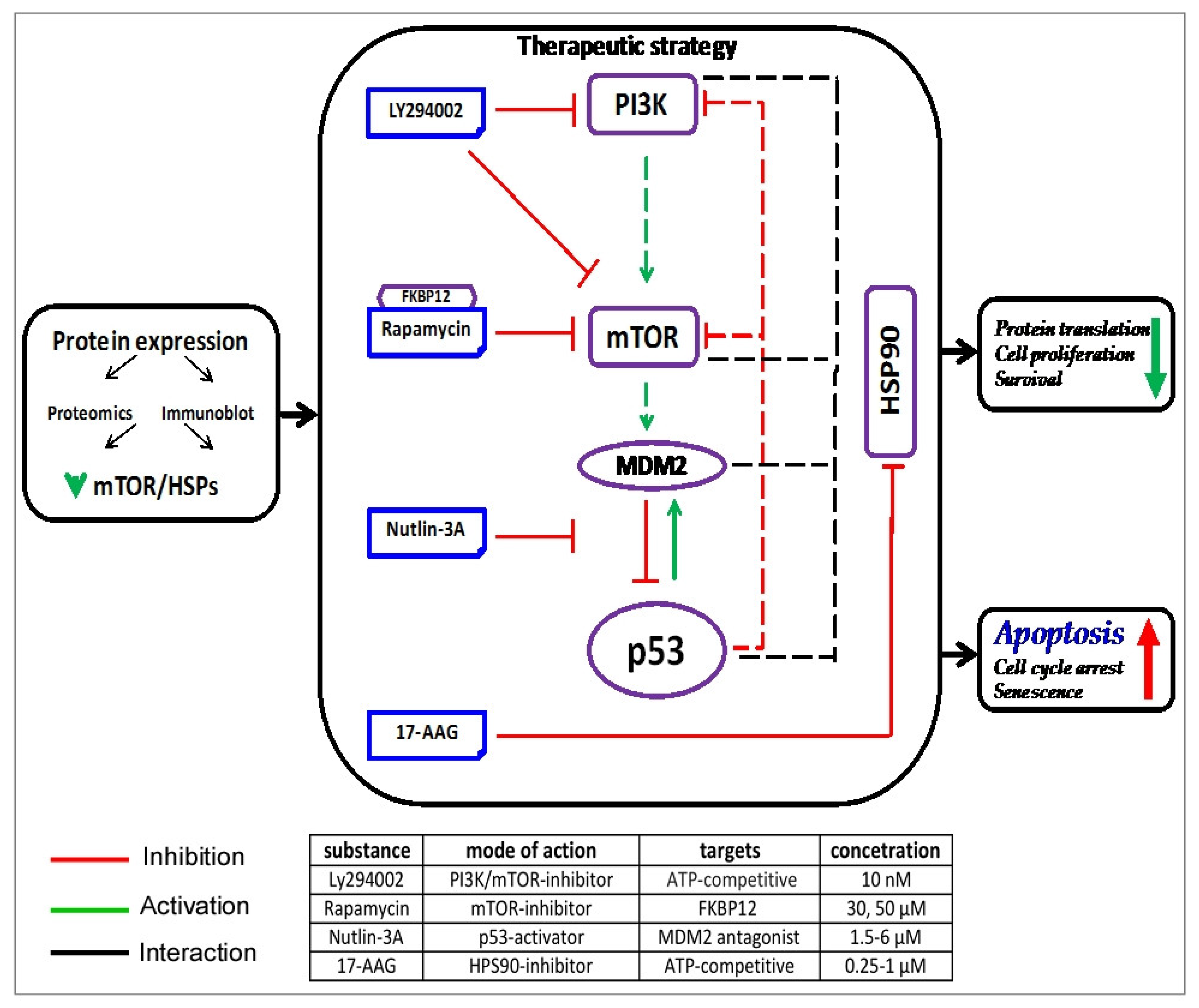 Cancers 15 03903 g008
