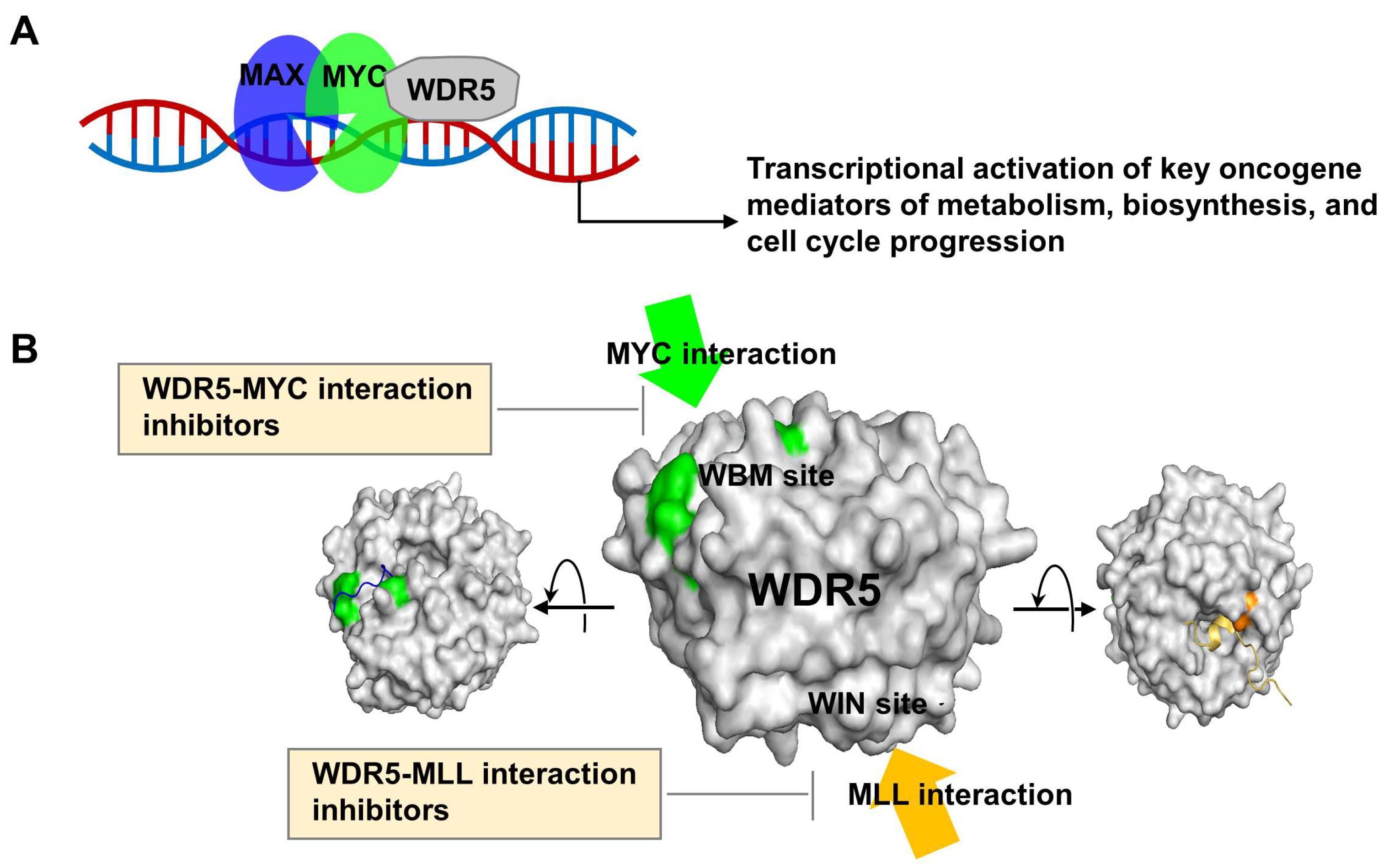 Cancers 15 03910 g001