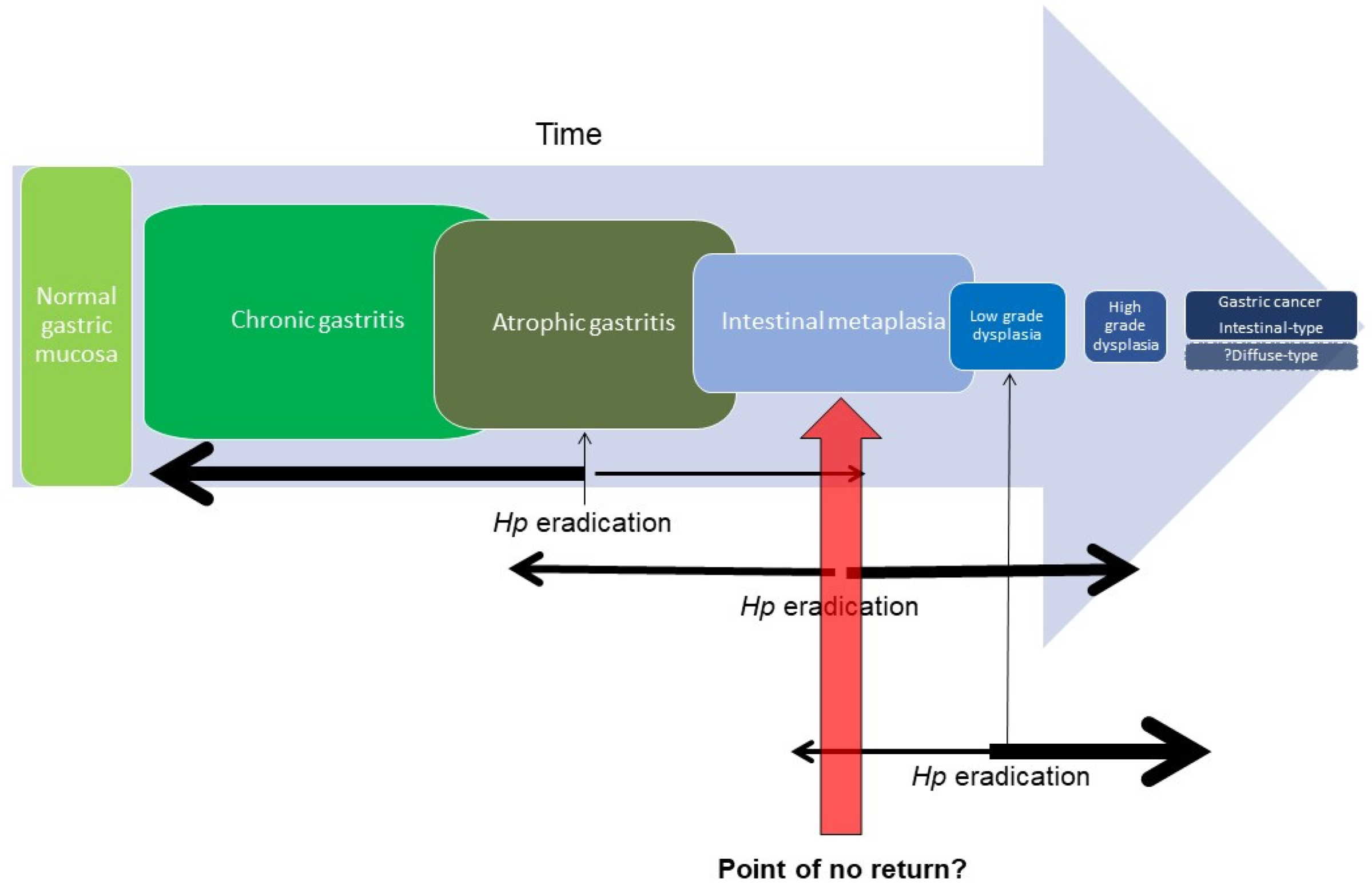 Cancers 15 03913 g001