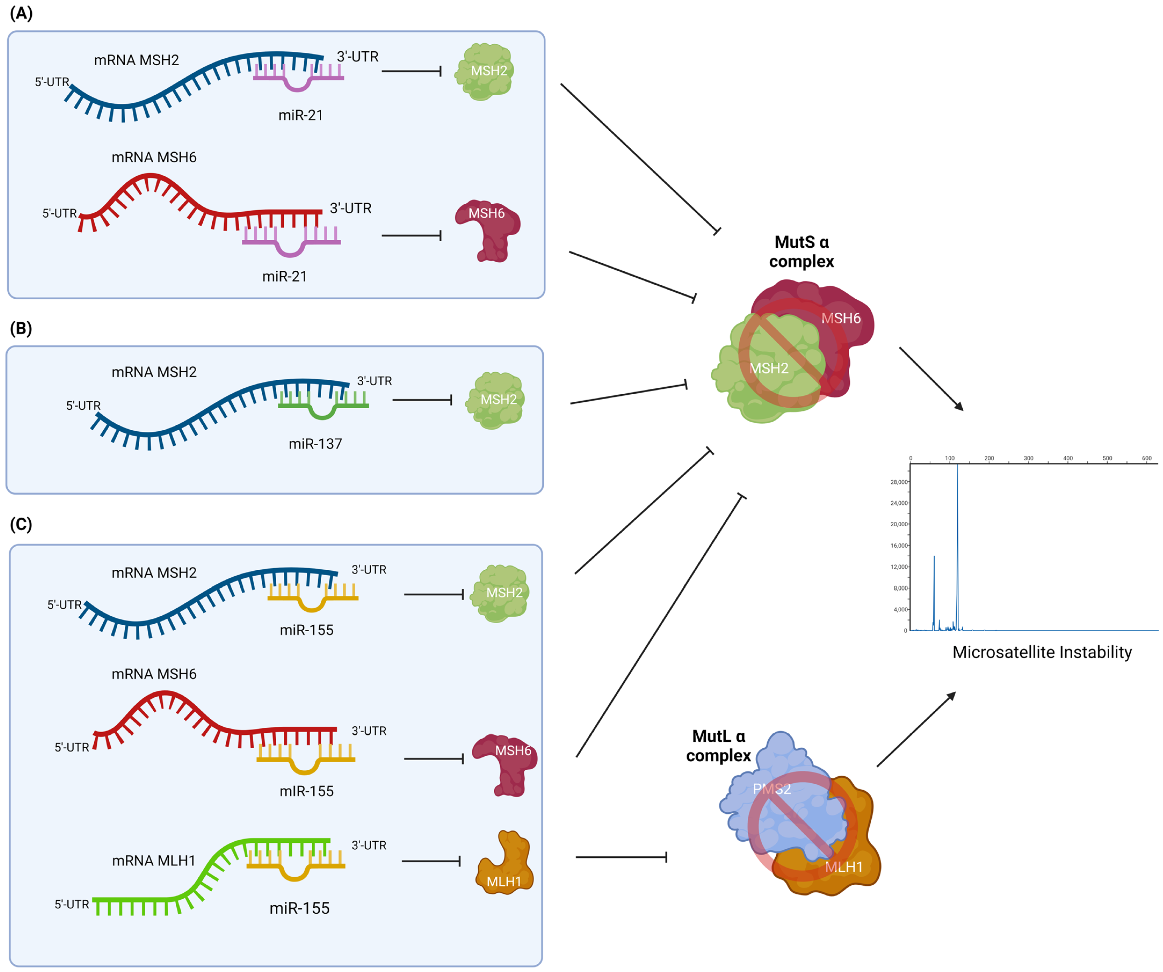 Cancers 15 03930 g003