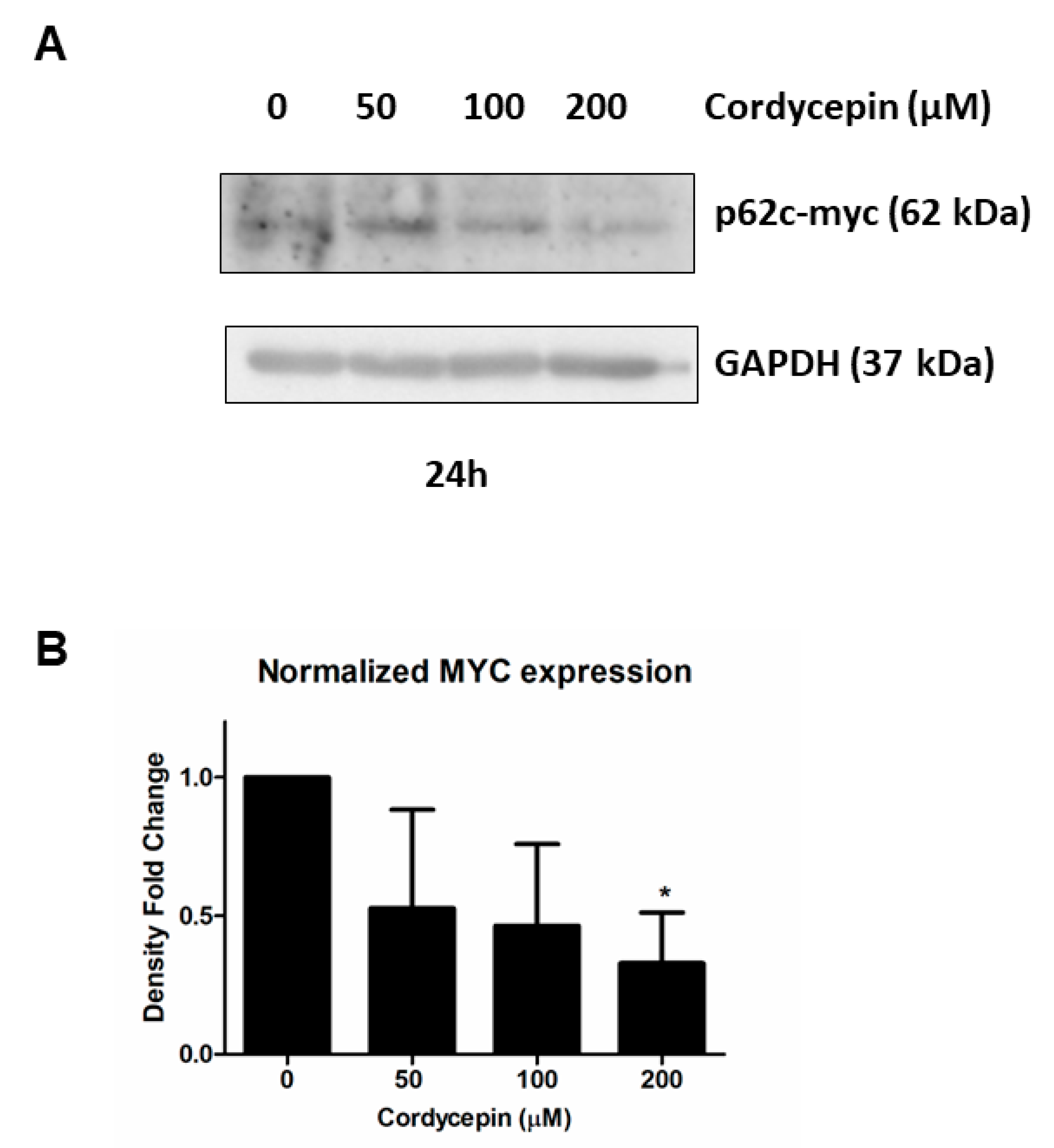 Cancers 15 03931 g005