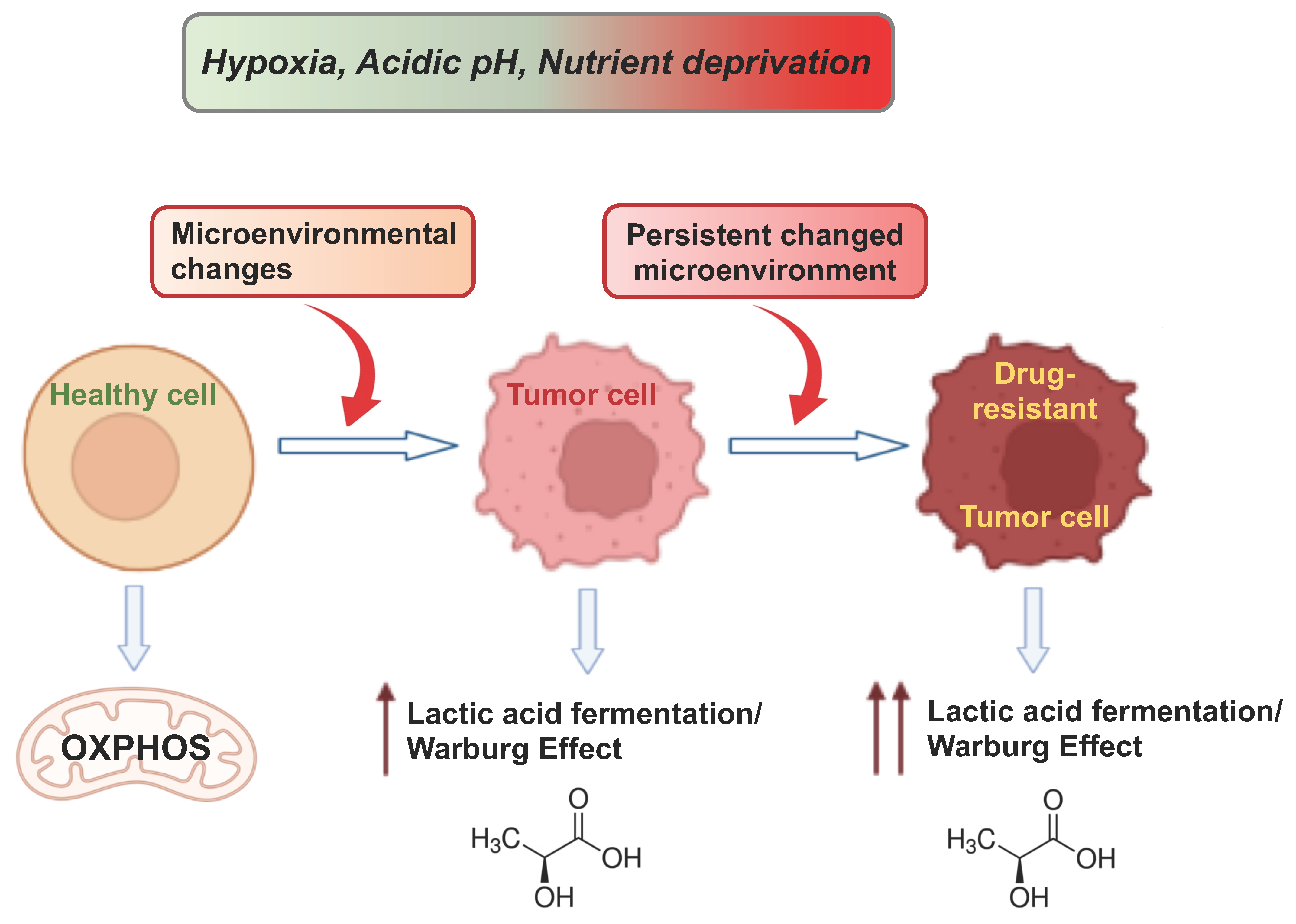 Cancers 15 03942 g003 Cancers 15 03942 g003