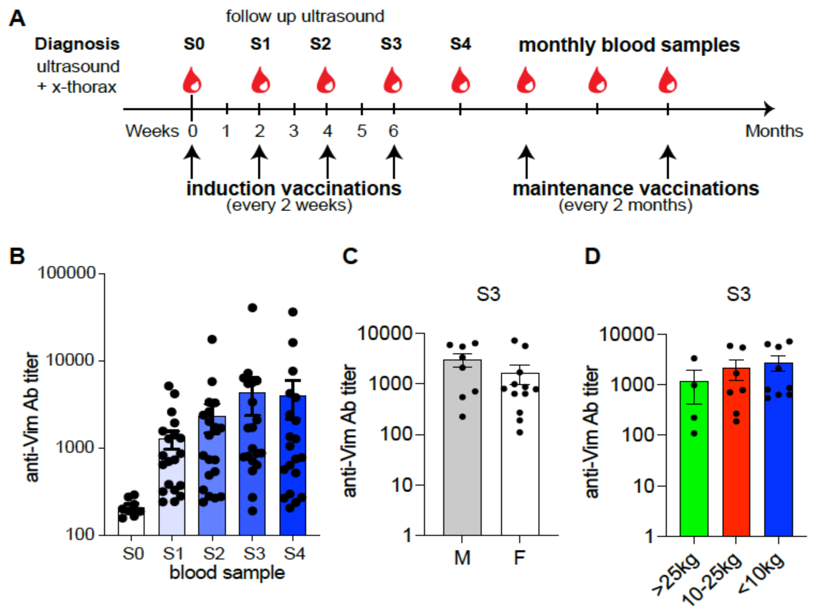 Cancers 15 03958 g001 Cancers 15 03958 g001