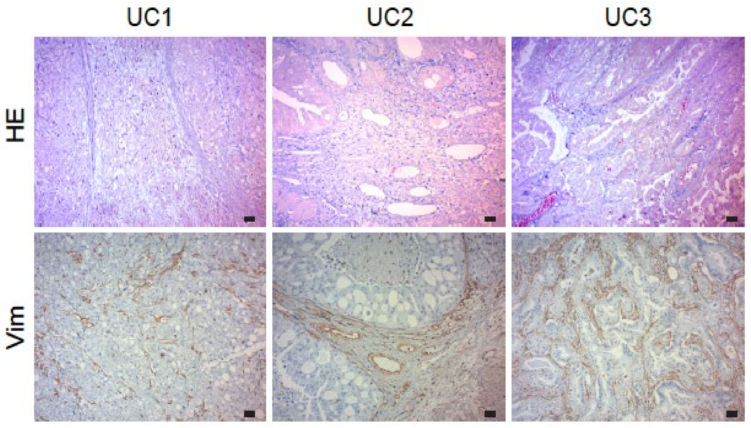 Cancers 15 03958 g002 Cancers 15 03958 g002