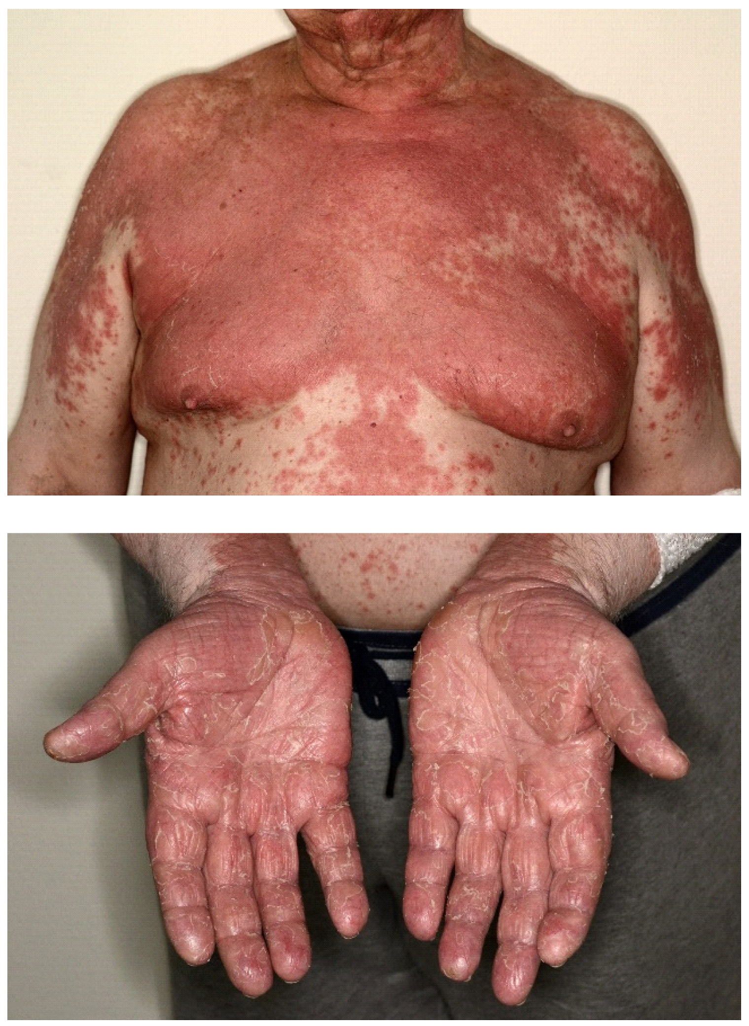 Cancers 15 03966 g001 Cancers 15 03966 g001