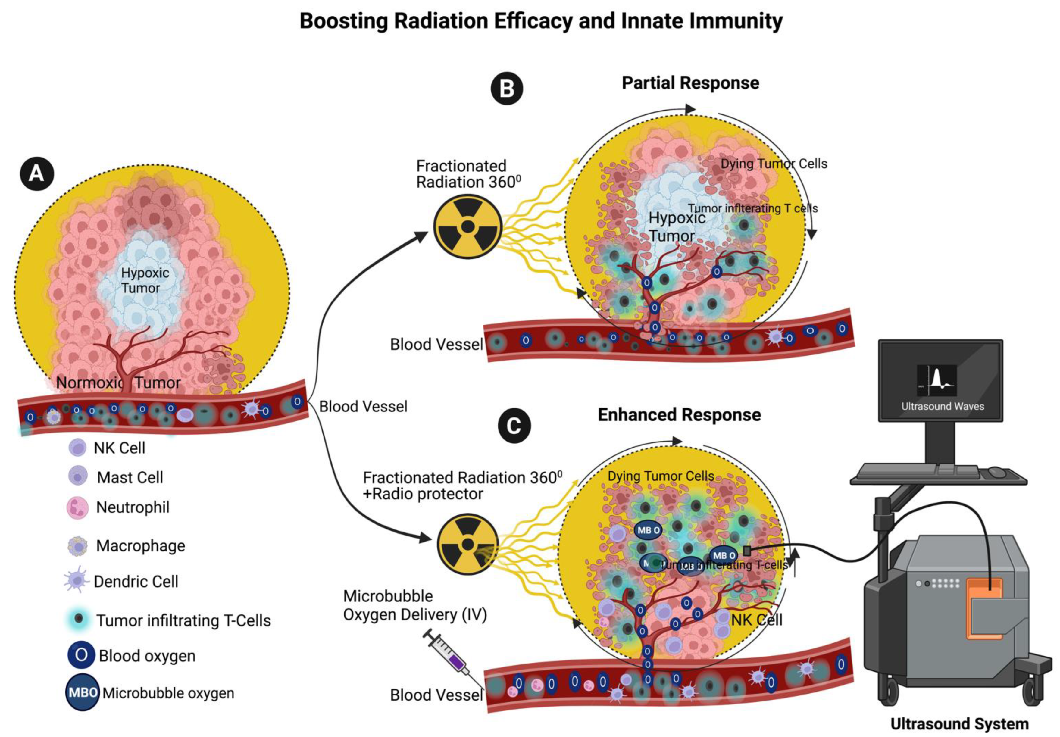 Cancers 15 03972 g005