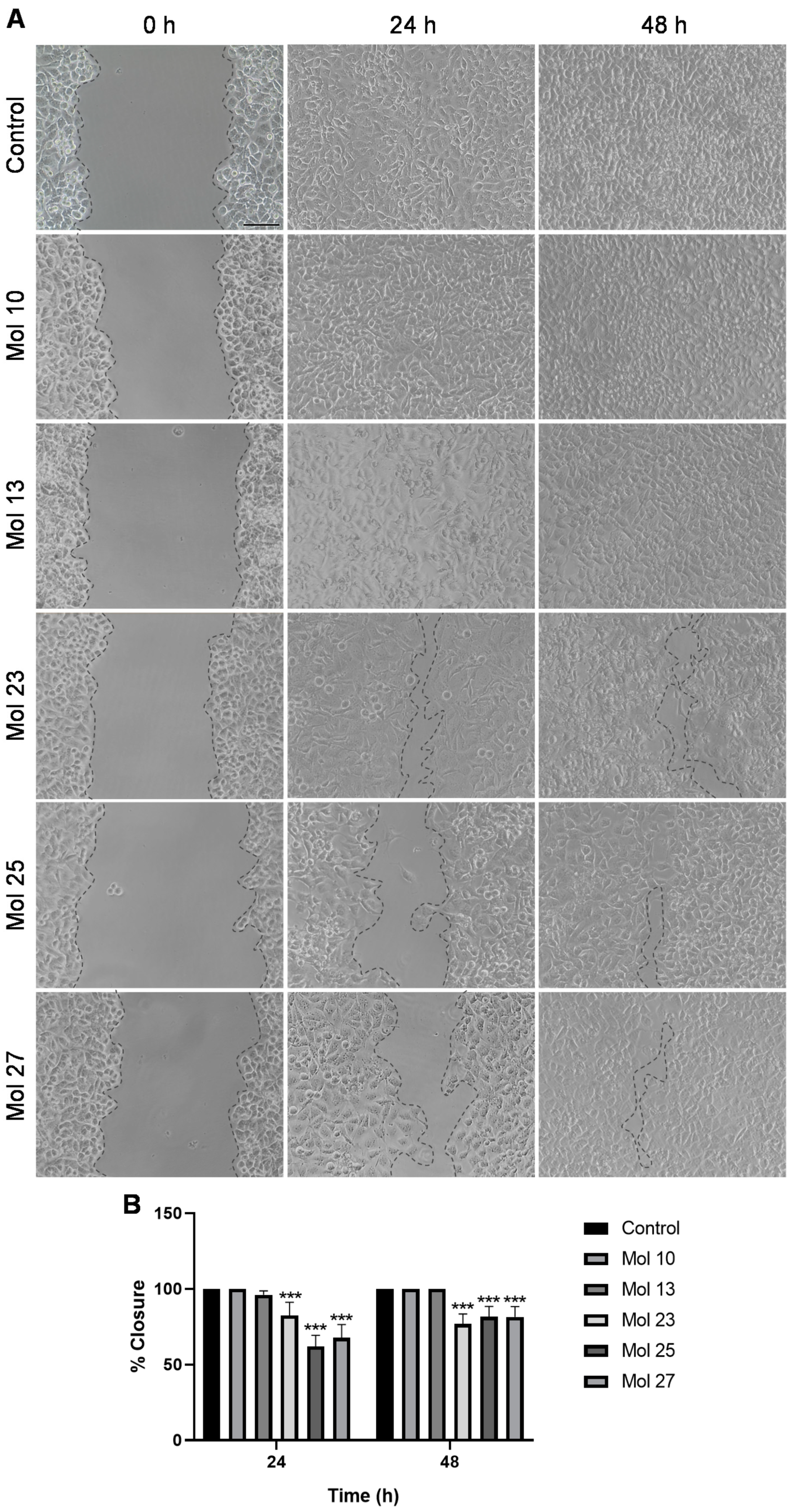 Cancers 15 03973 g005