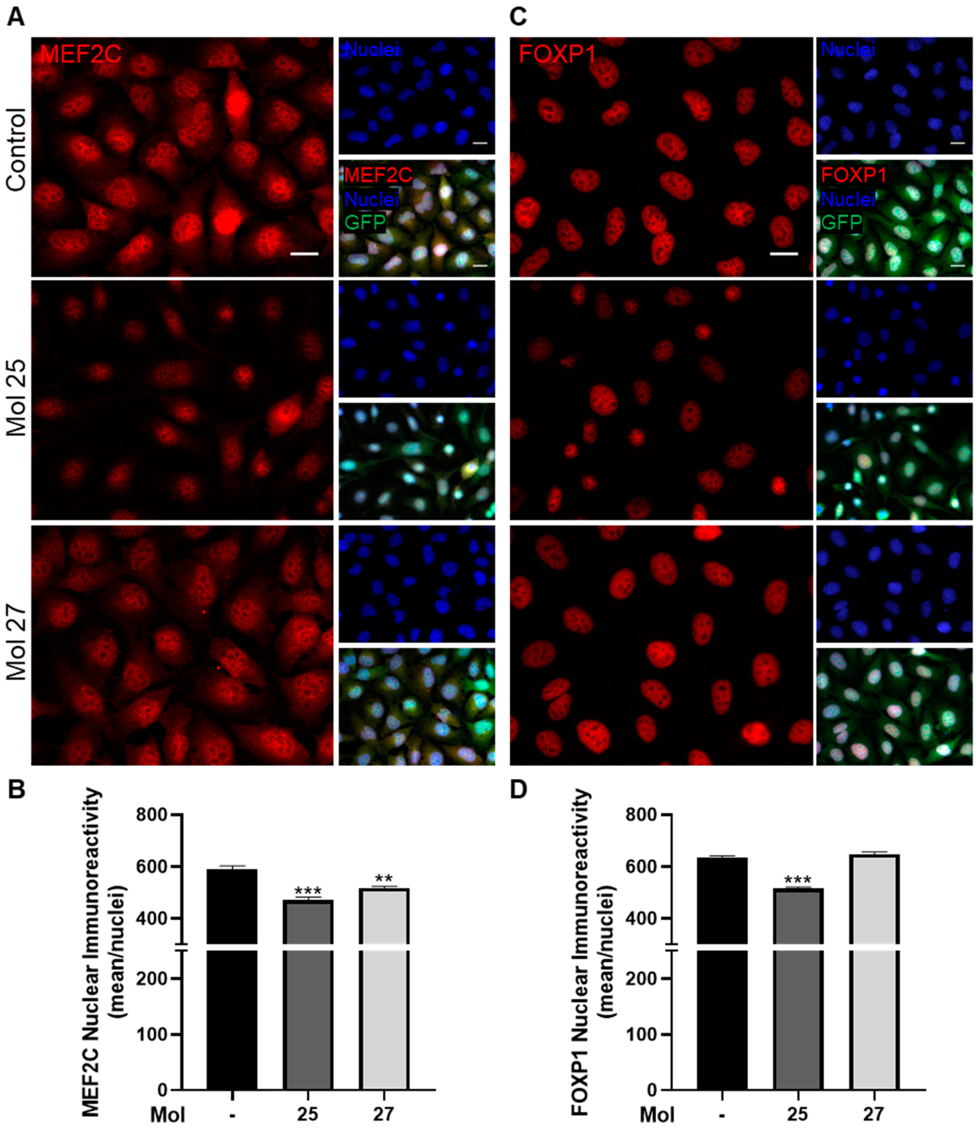 Cancers 15 03973 g009