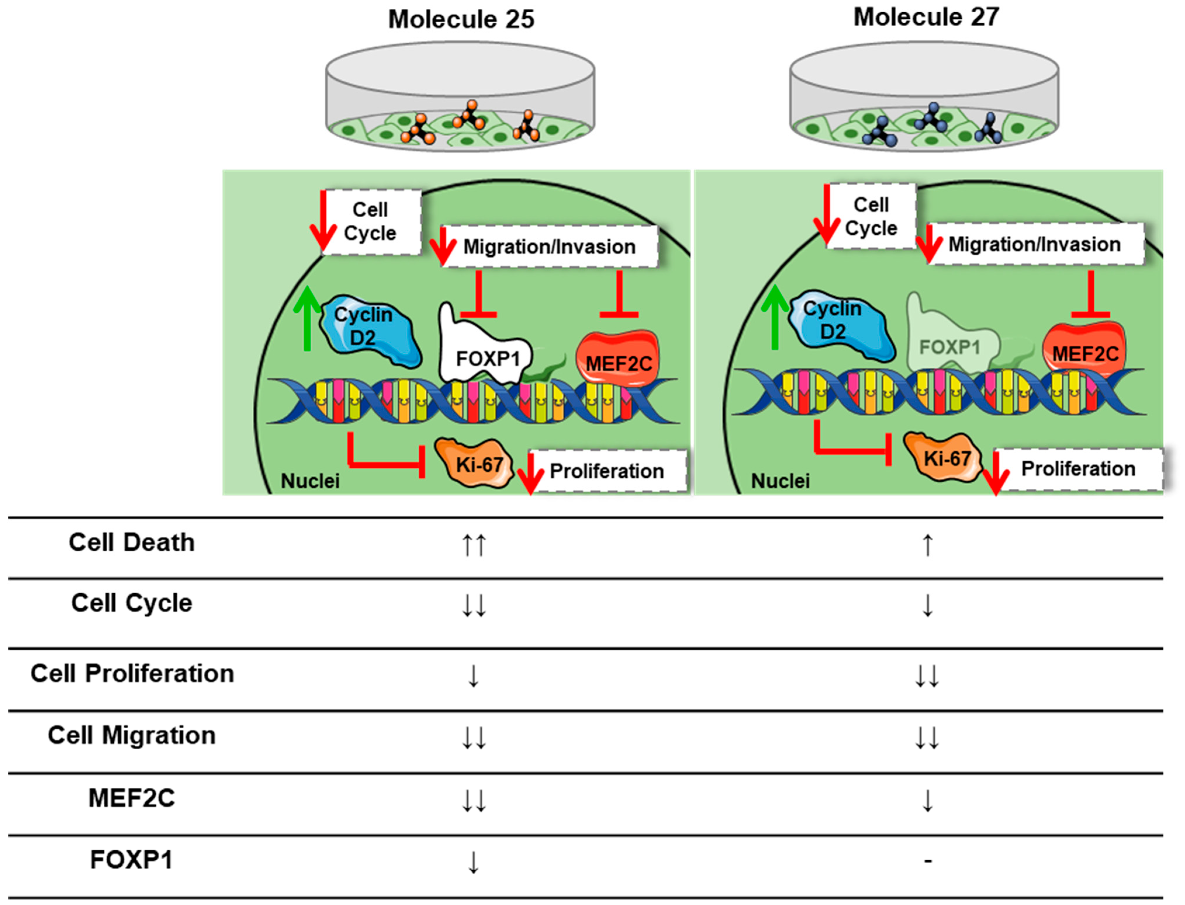 Cancers 15 03973 g010