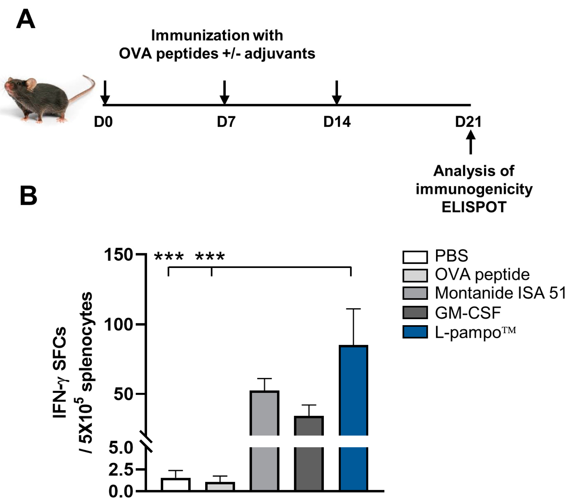 Cancers 15 03978 g003